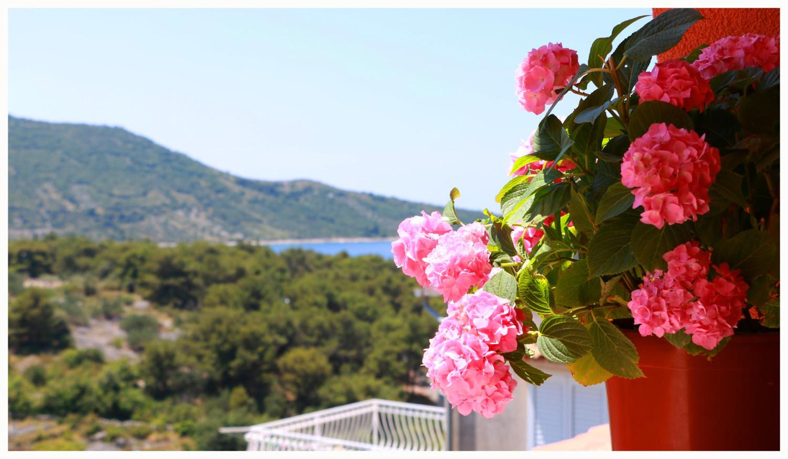 Villa Marica Primošten
