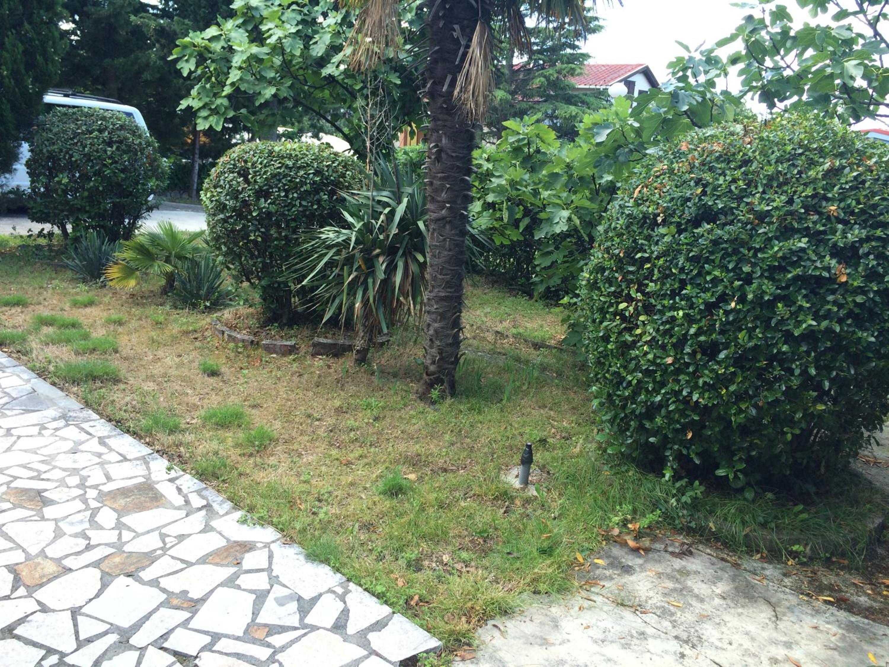 Photo 24