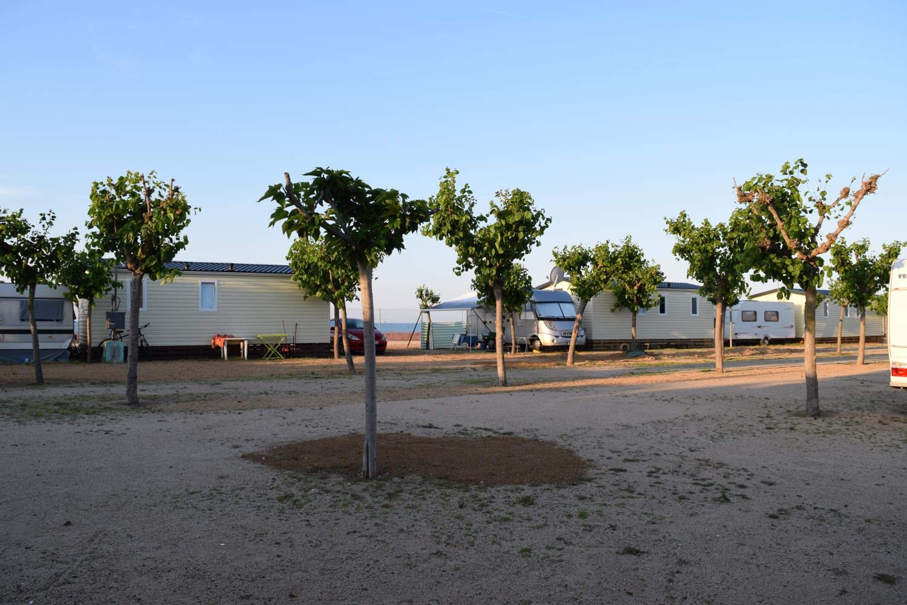Camping el Pinar Platja view 4