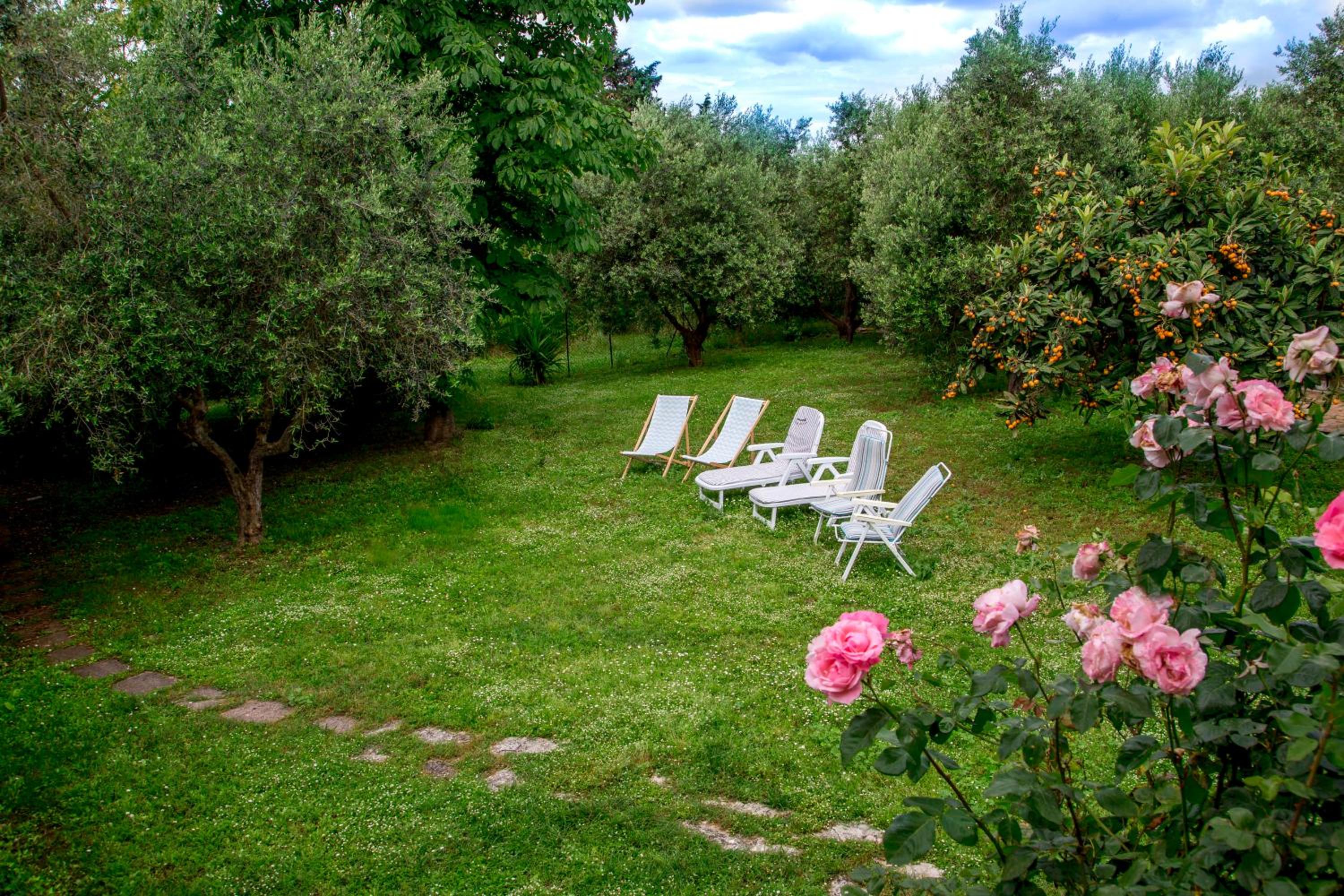 Tra Gli Olivi E La Riviera Del Conero view 5