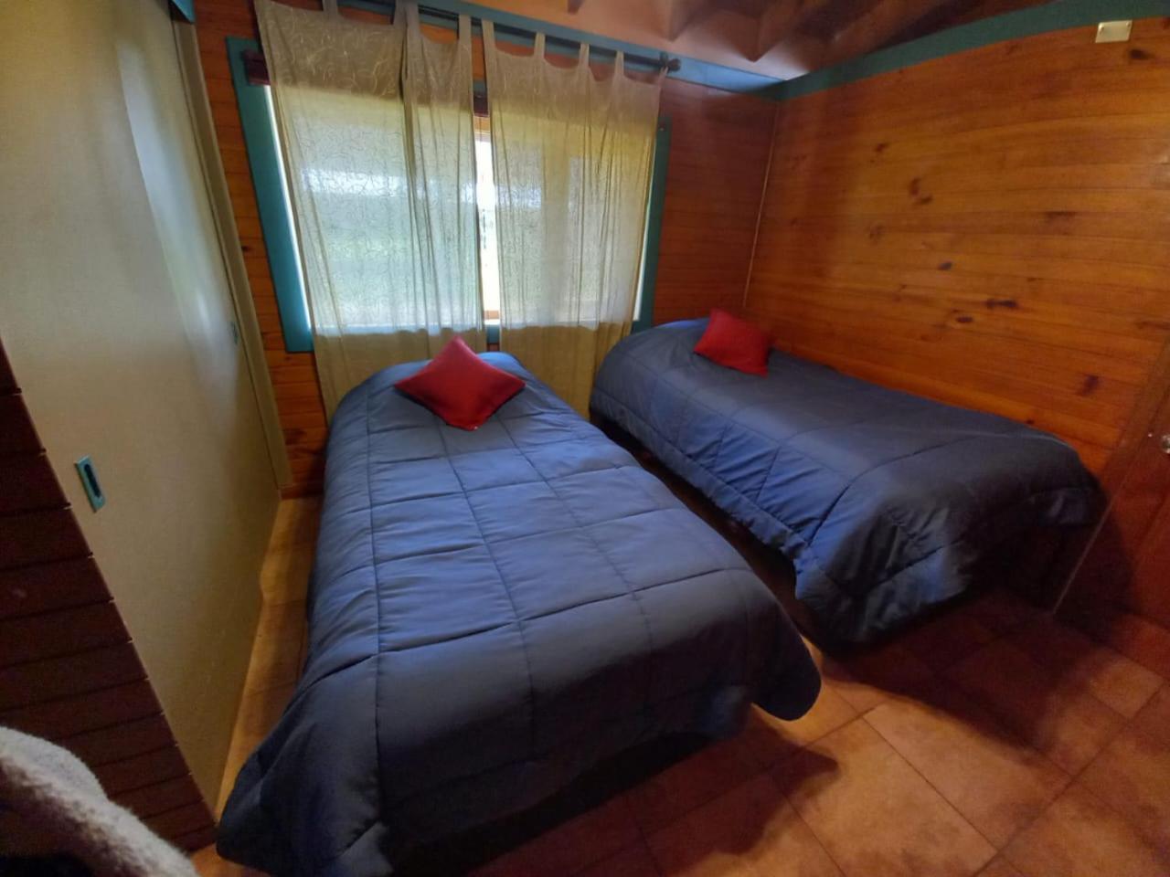 Texas Limache, photo 25