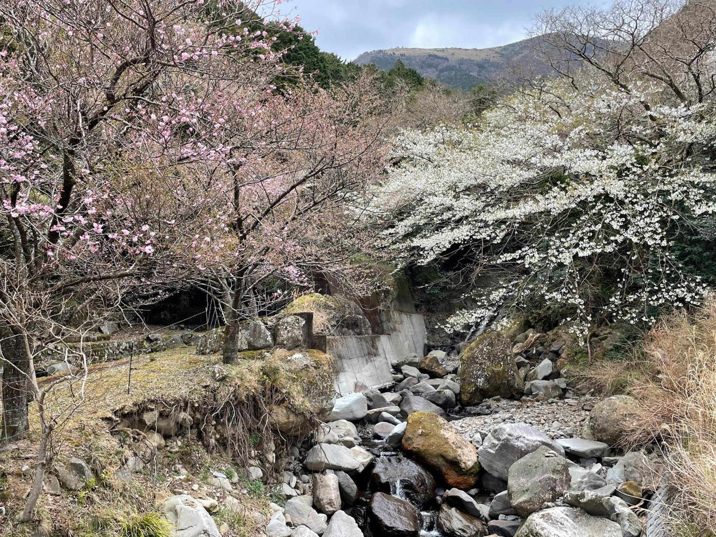 TAKUMI-AN Private Ancient House and Garden