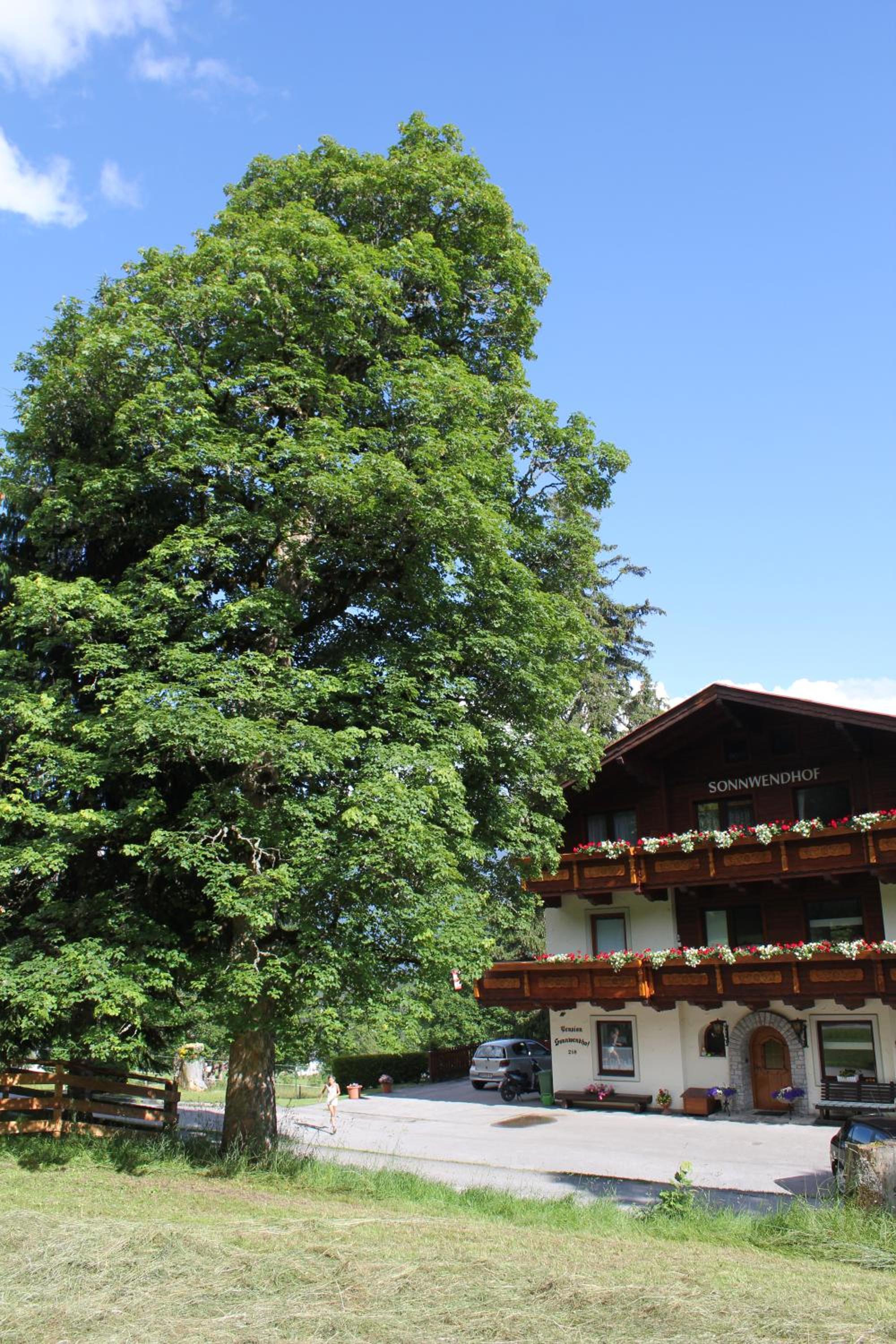 Pension Sonnwendhof