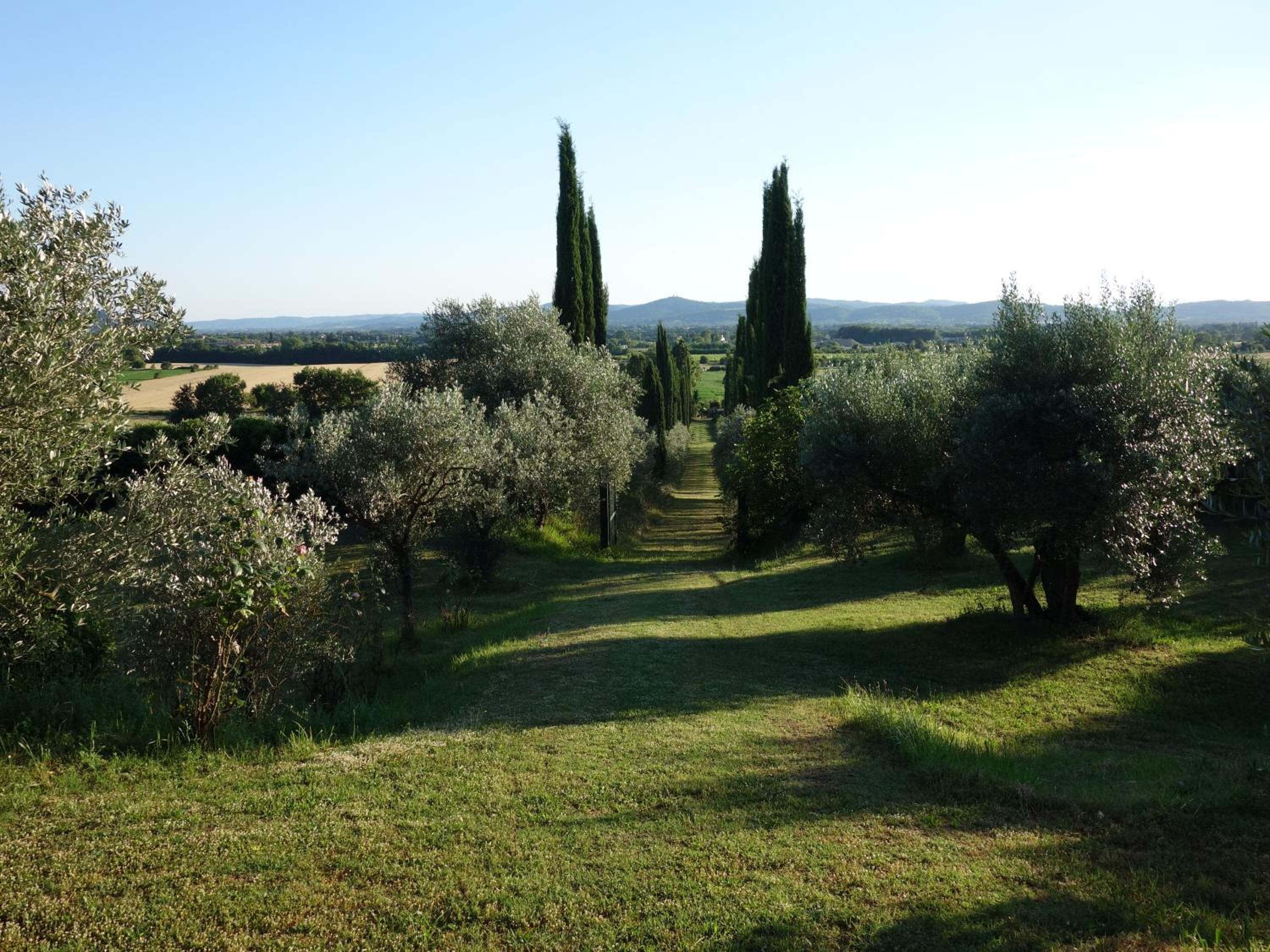 Bella di Ceciliano