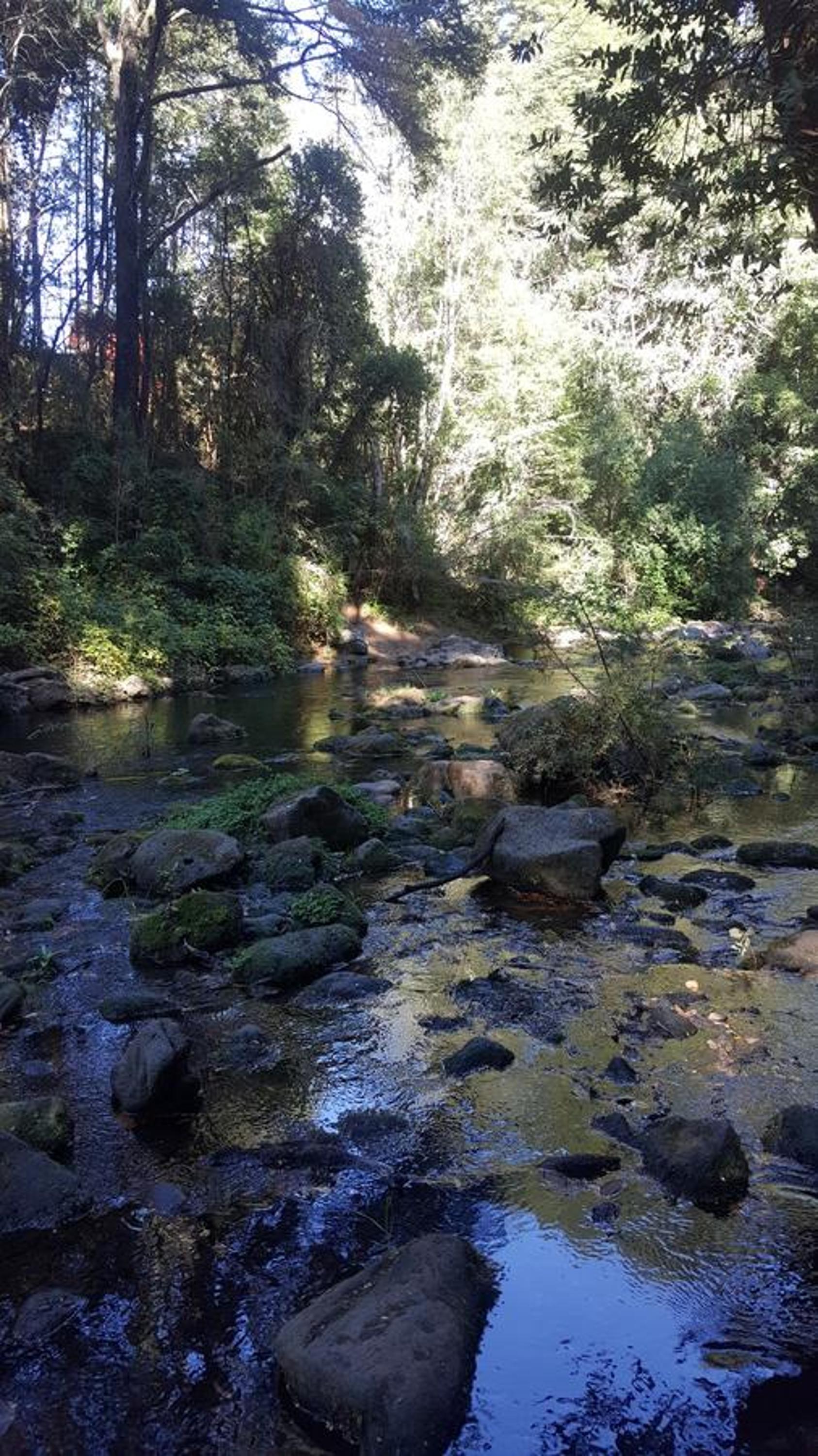 PUCON HOUSE - Lake Access & Near Ski Center