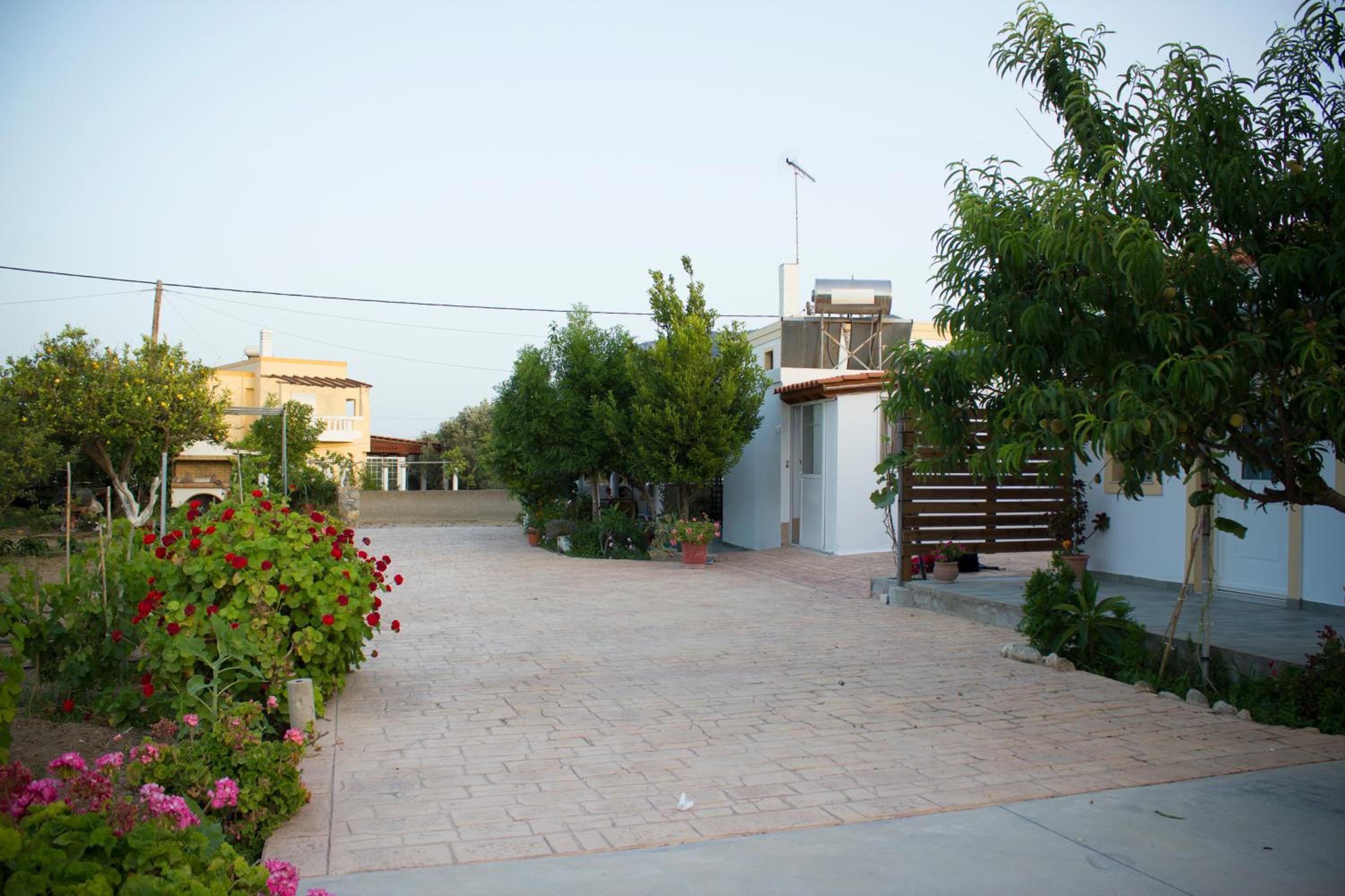 Level Houses