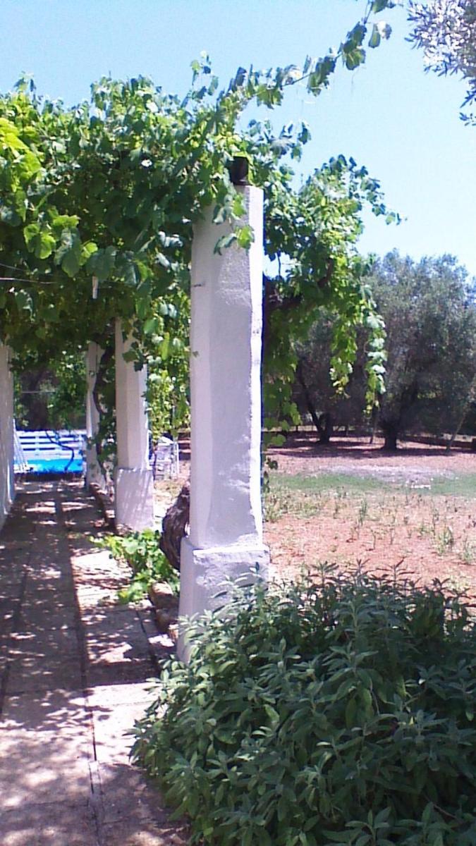 LA PILA masseria salentina con piscina 6 PL