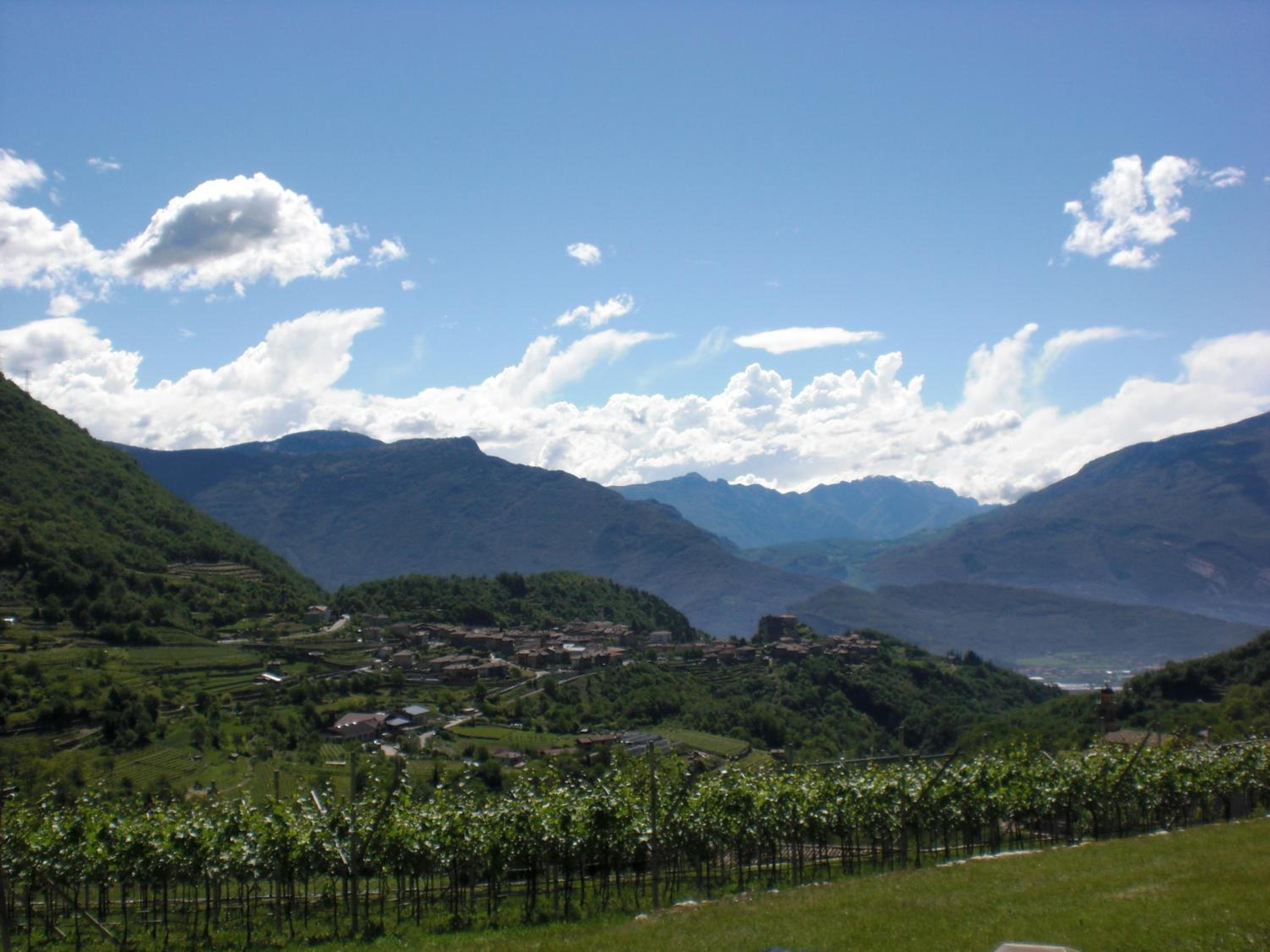 Photo 47