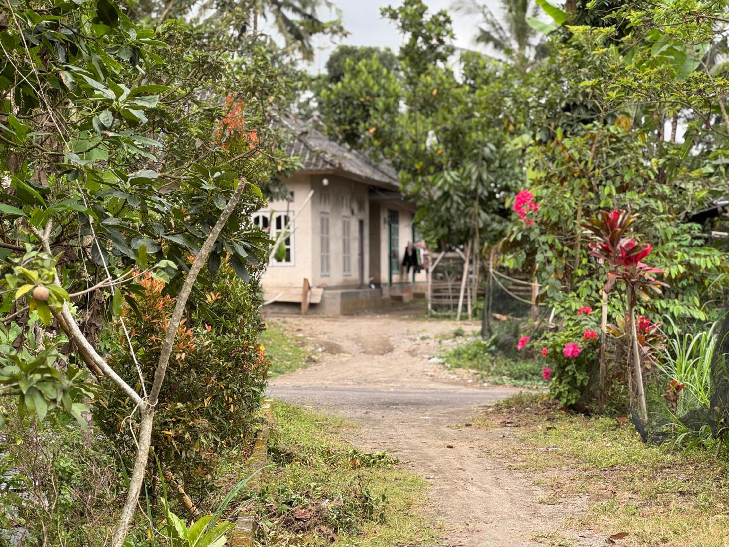 Lentera Lombok