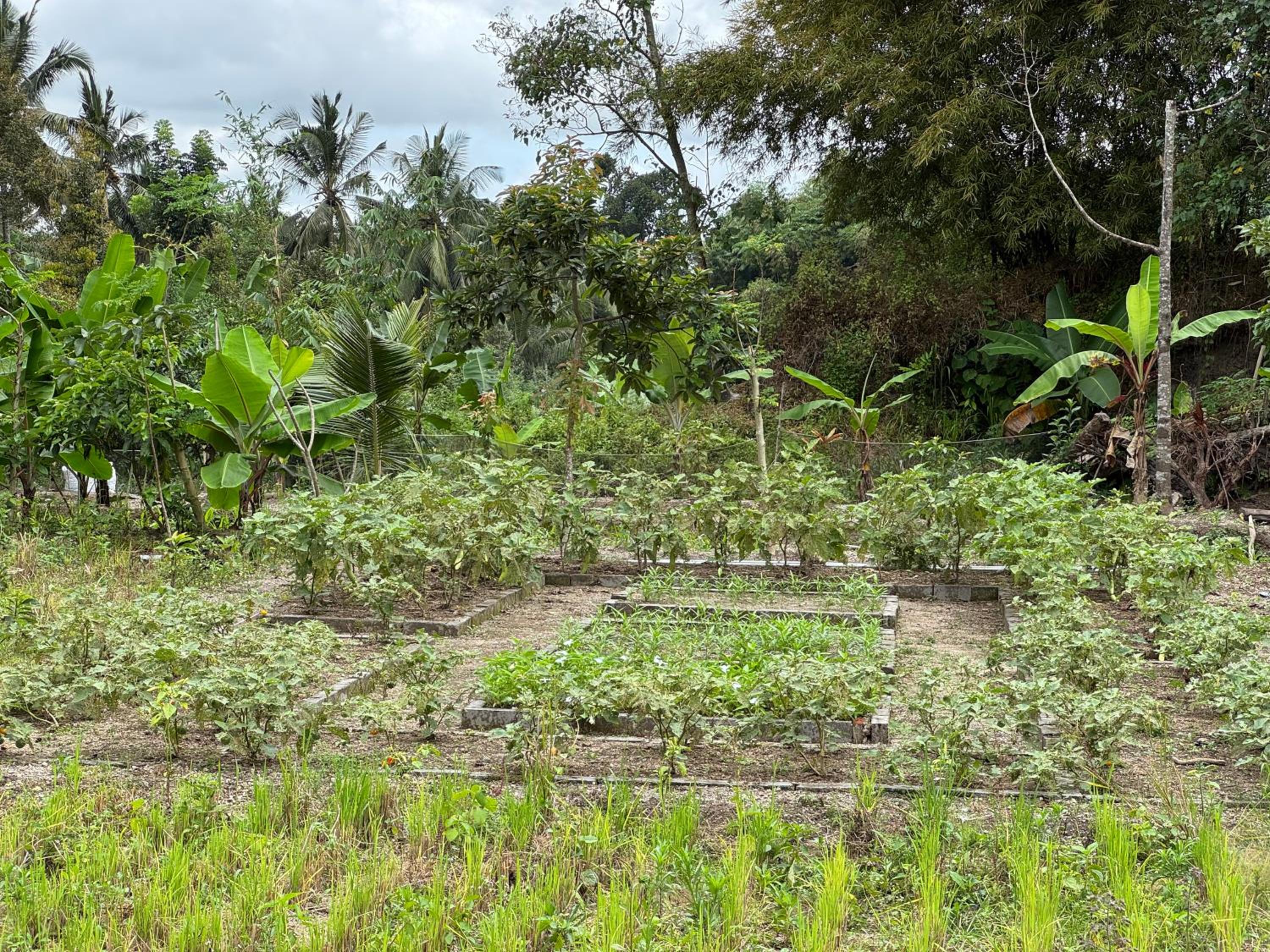 Lentera Lombok