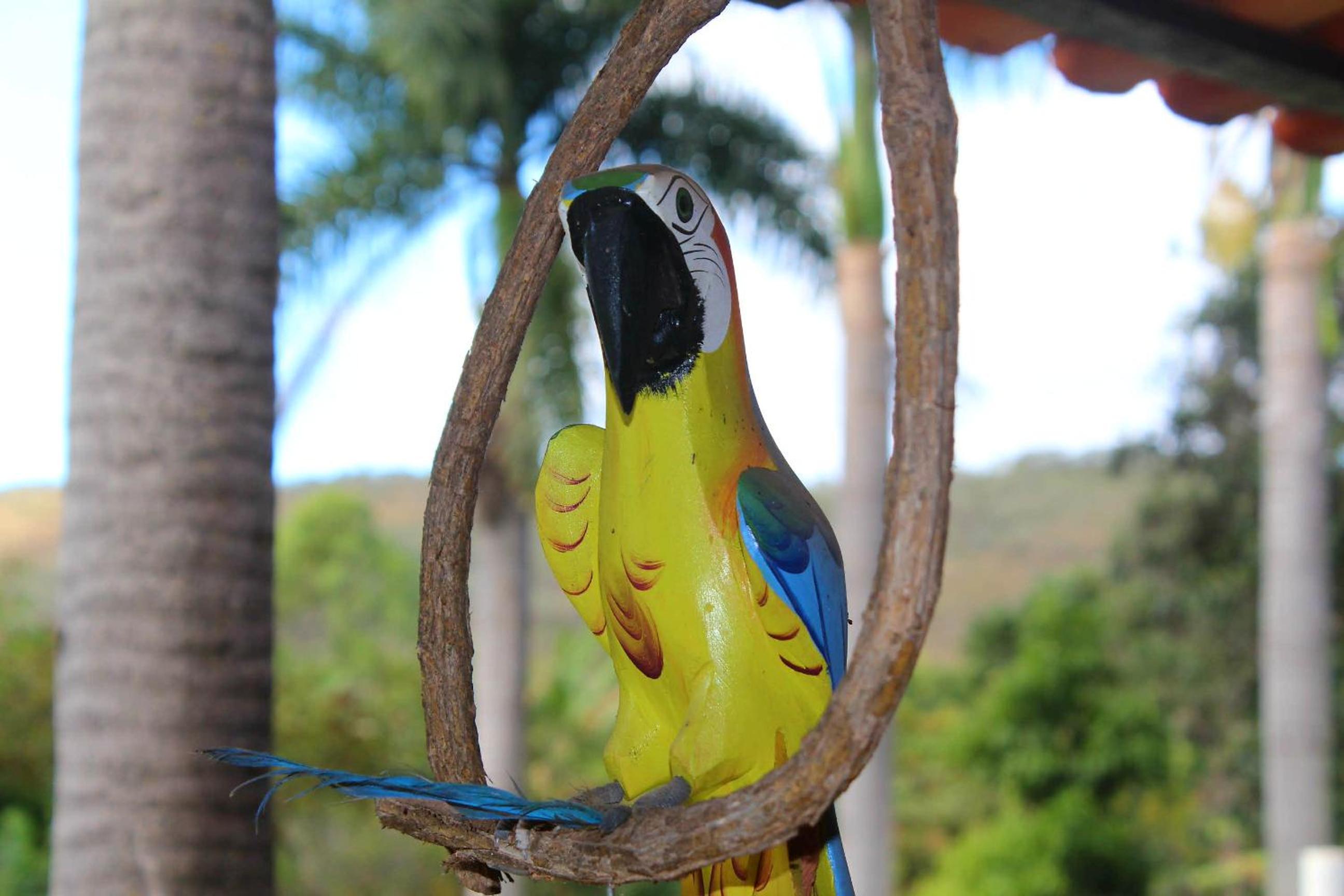 A Sua Casa de Campo na Chapada