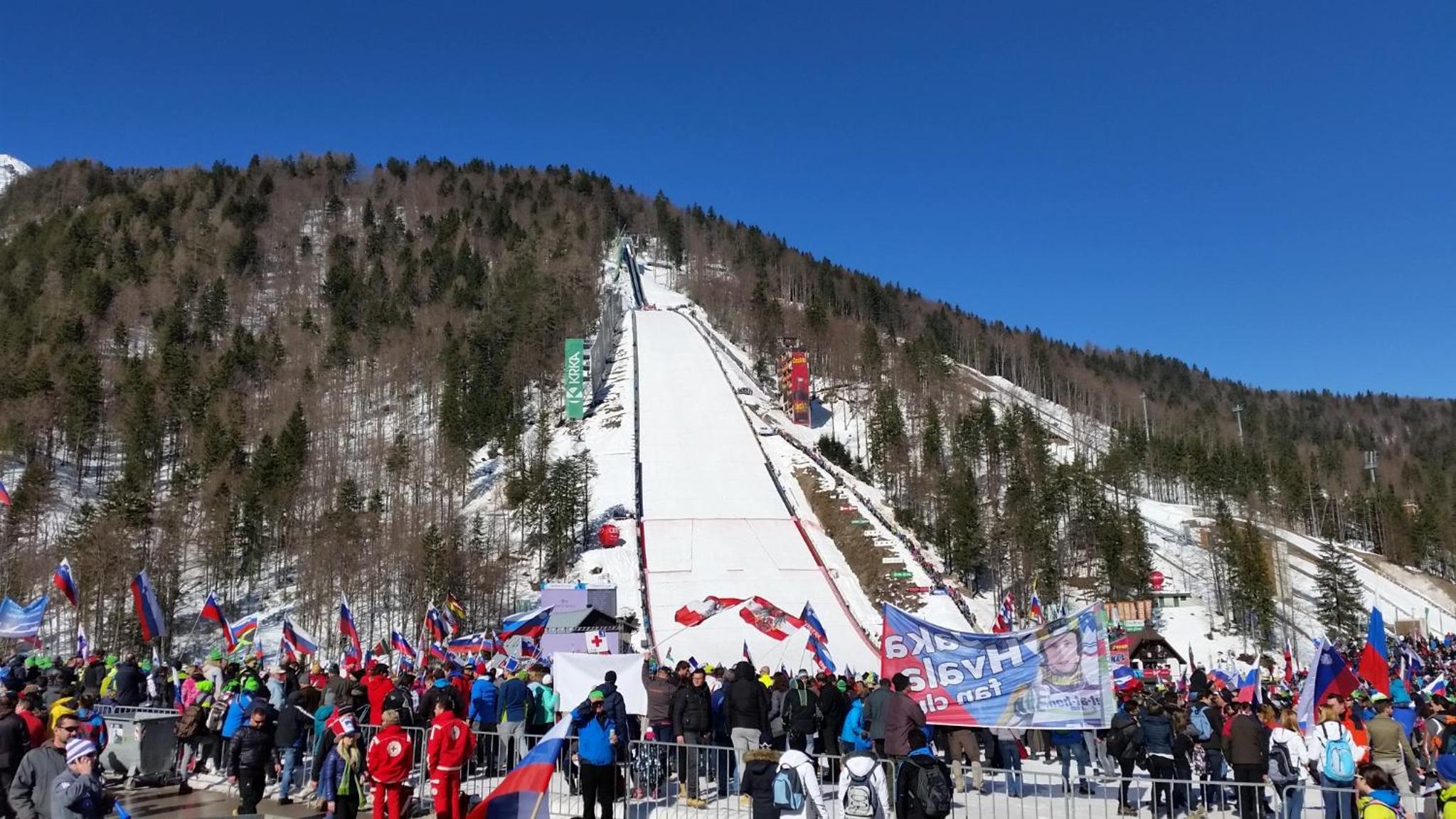 Photo 50