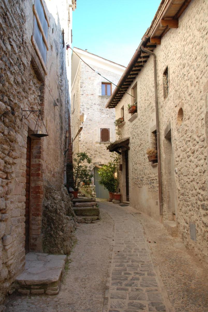 Photo 44