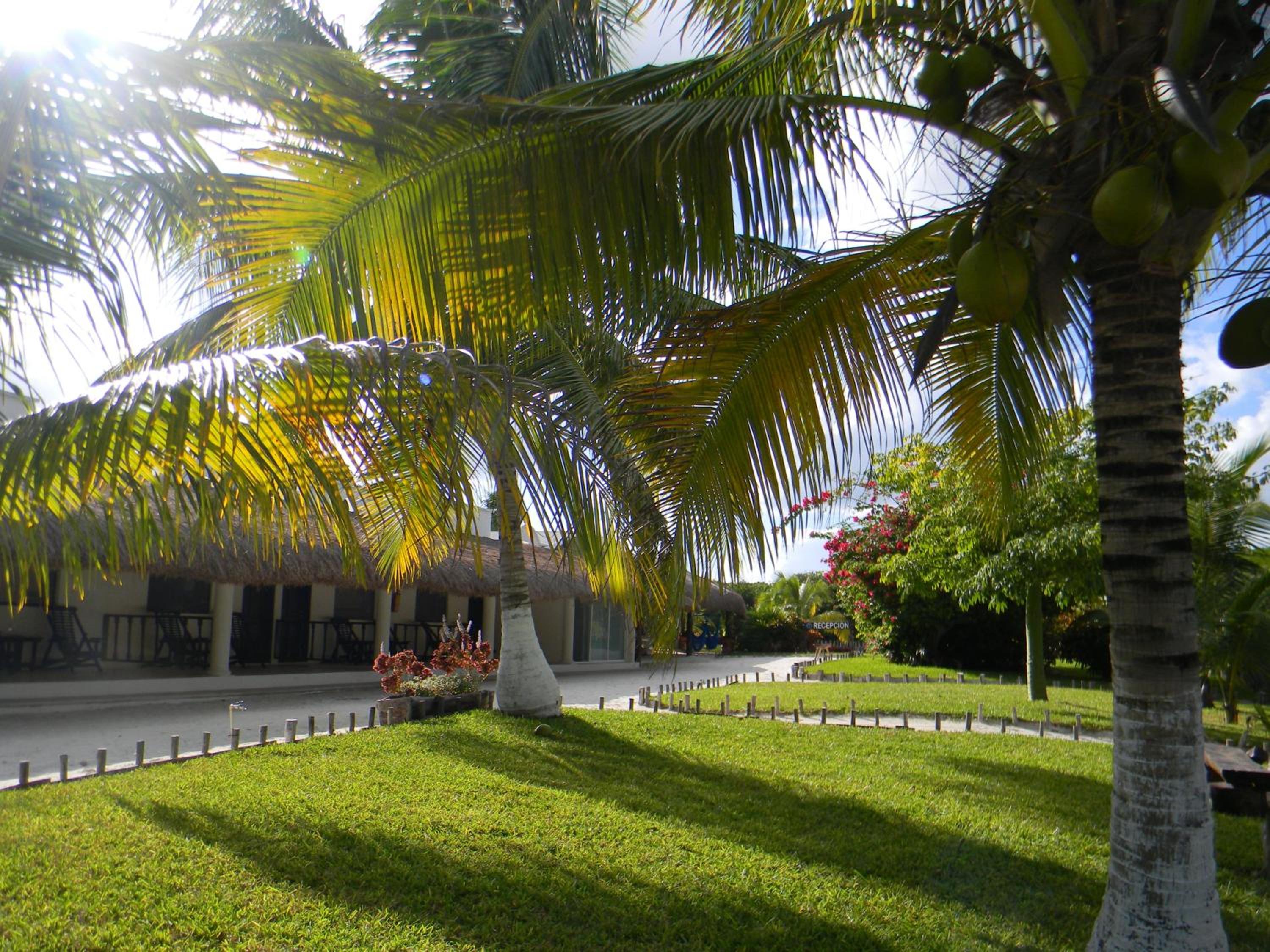 El Paraiso Hotel Tulum - Property Image 15