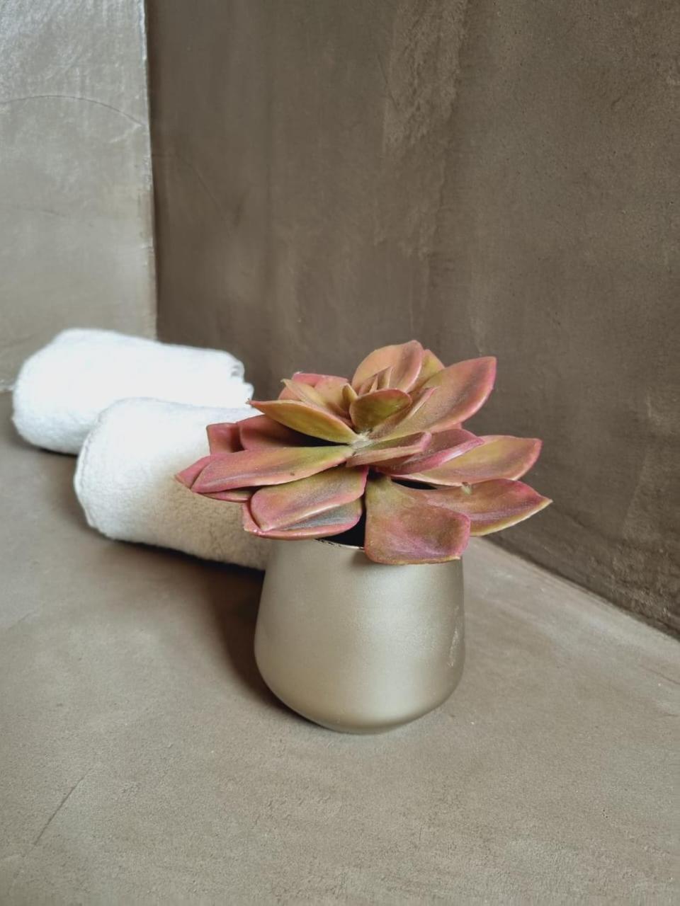 La Parenthèse exotique, duplex cosy à deux pas du lagon