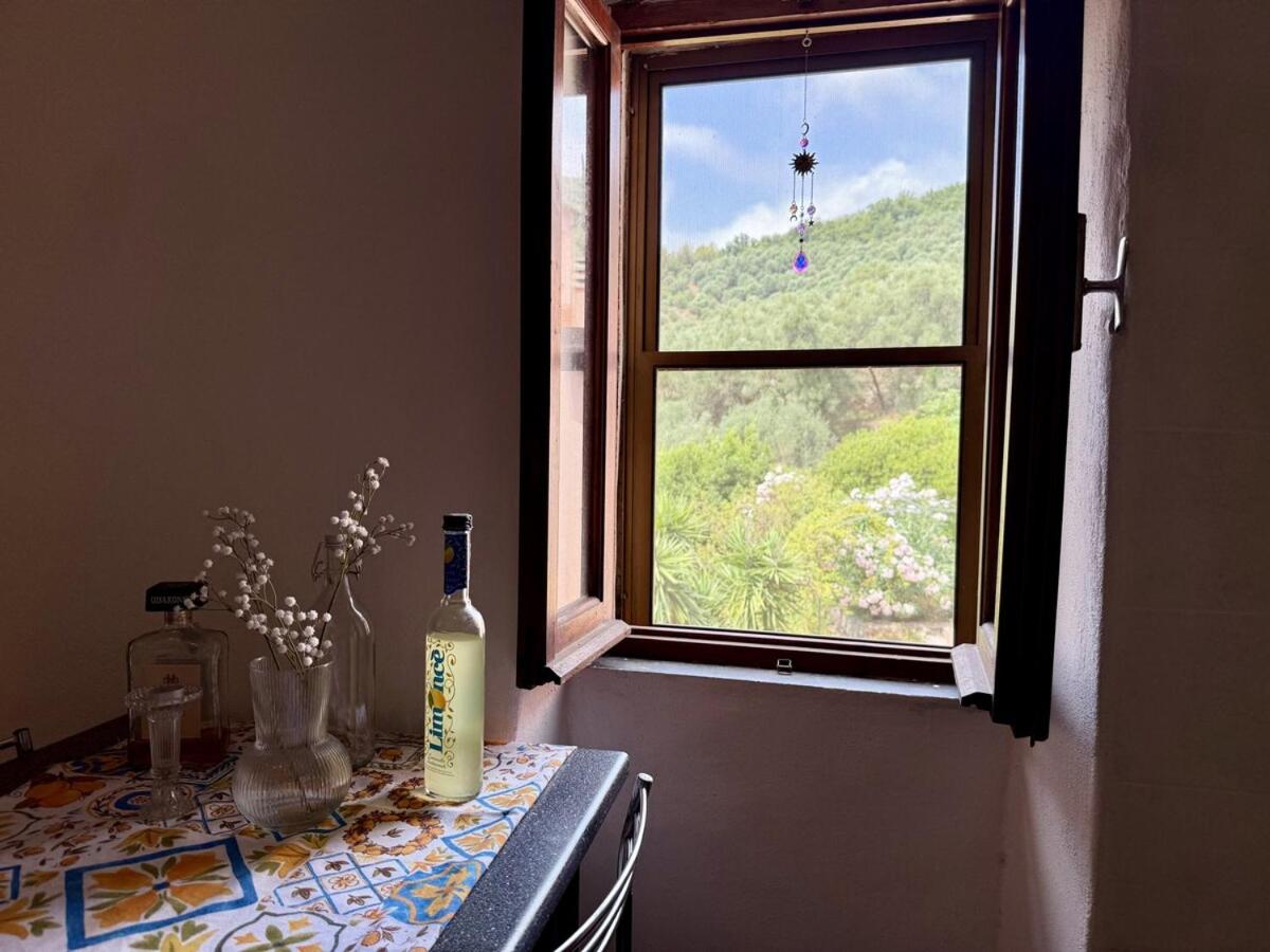 HOST4U - Cozy Warm House with Beautiful View on the Olives Valley