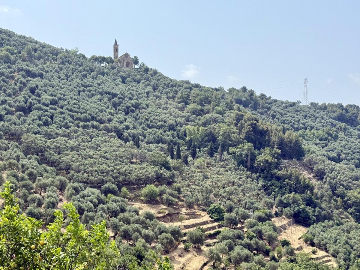 HOST4U - Cozy Warm House with Beautiful View on the Olives Valley