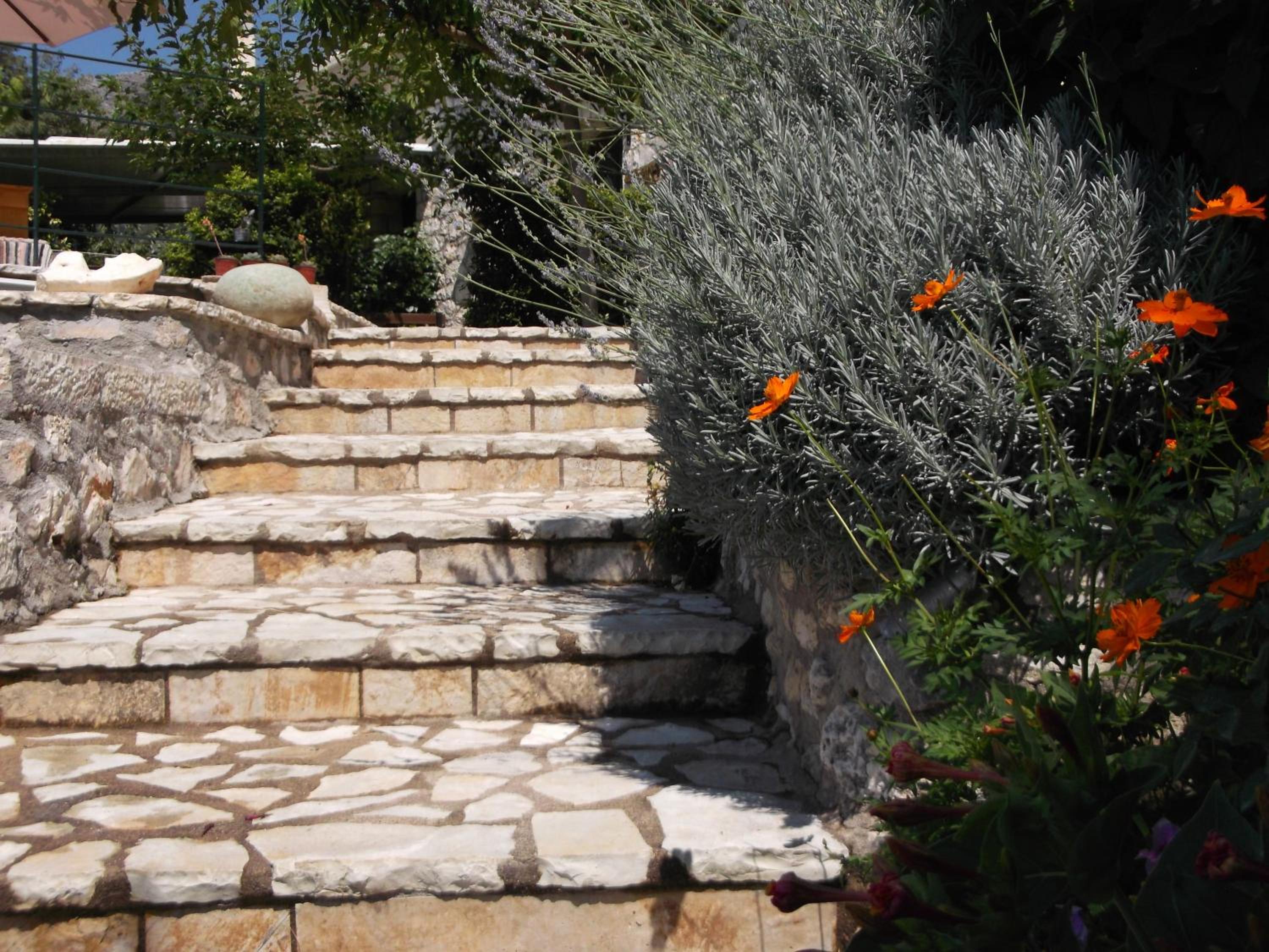 Photo 32