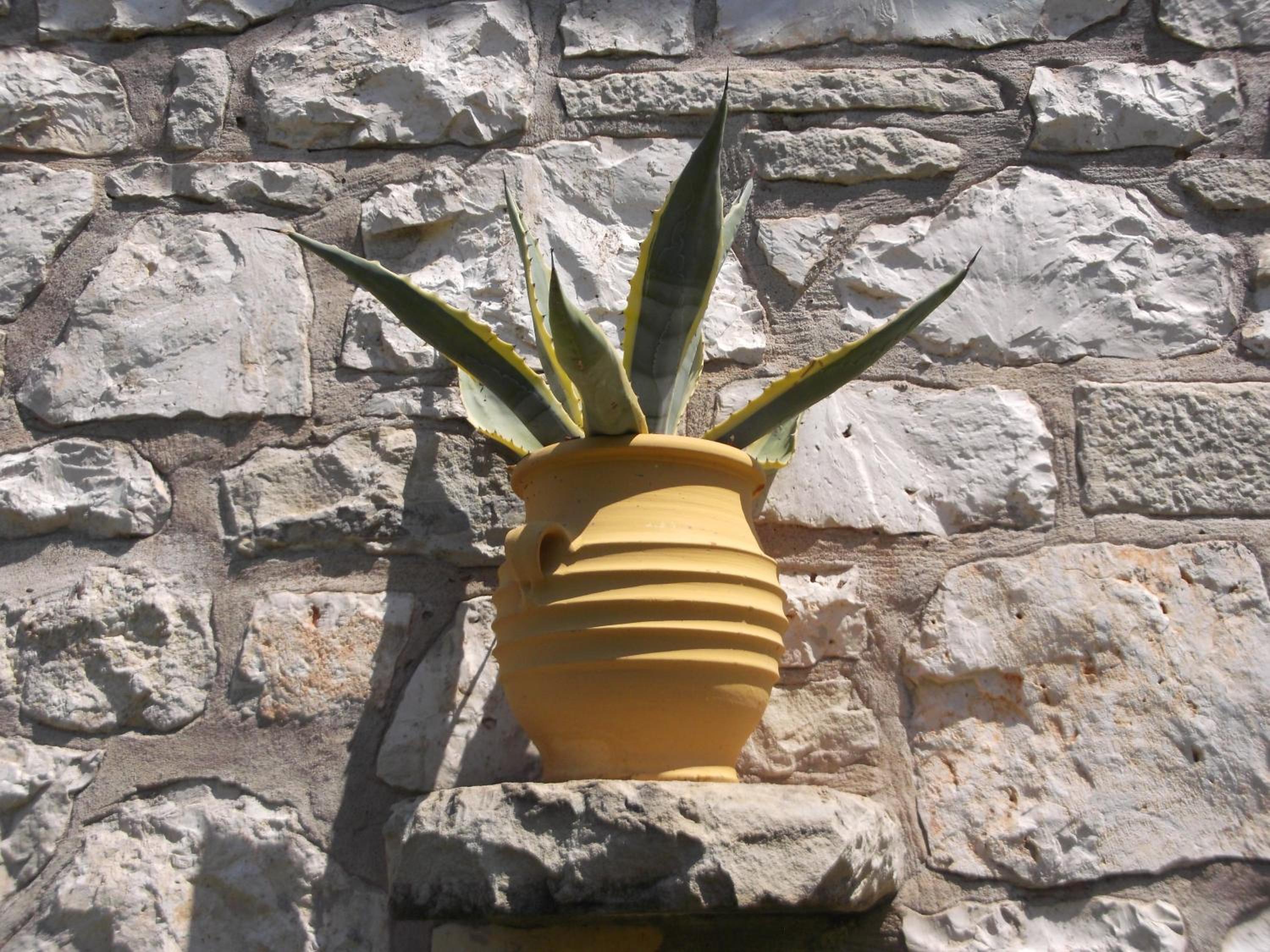 Photo 46