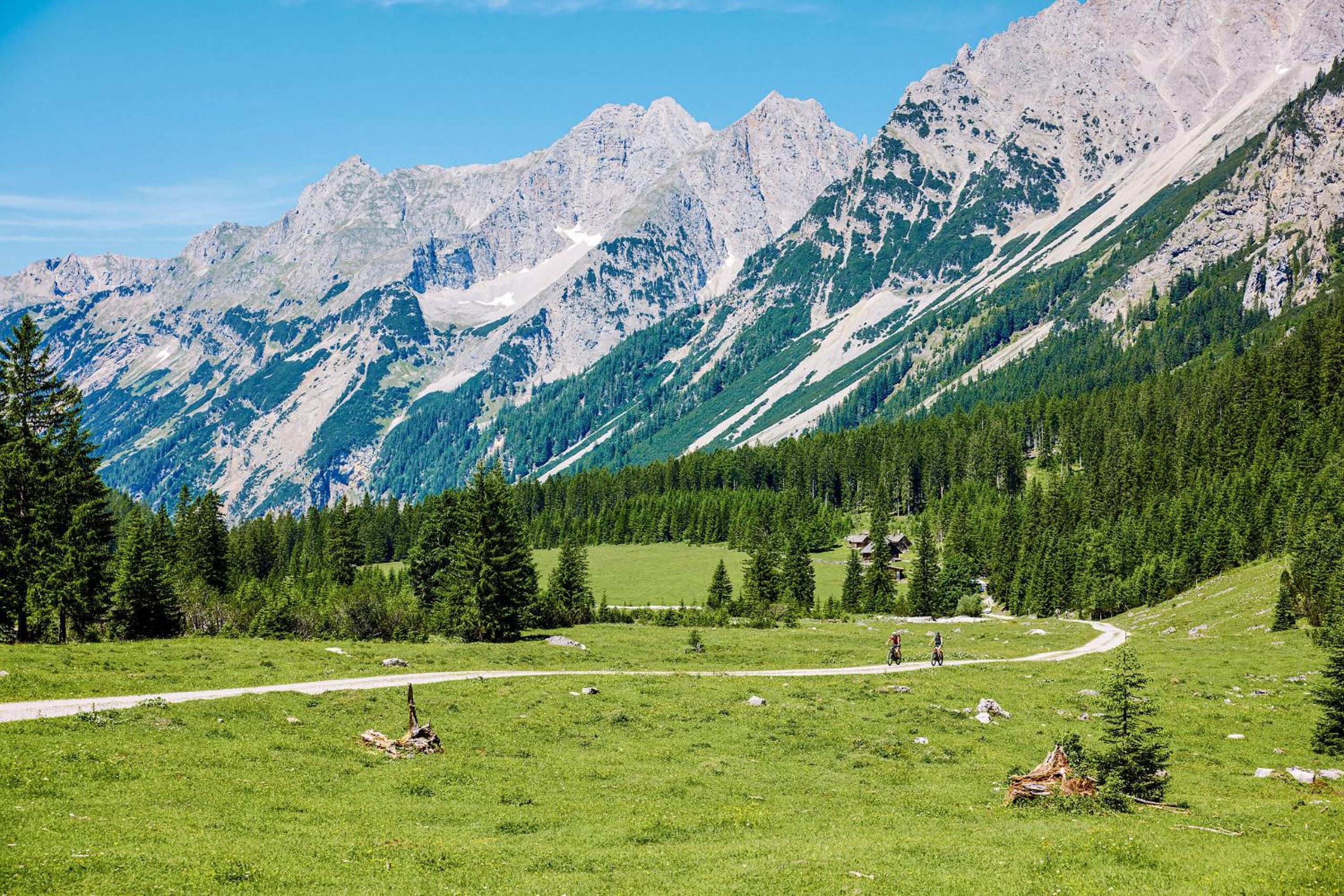 Waldblick by Alpenglück Apartments