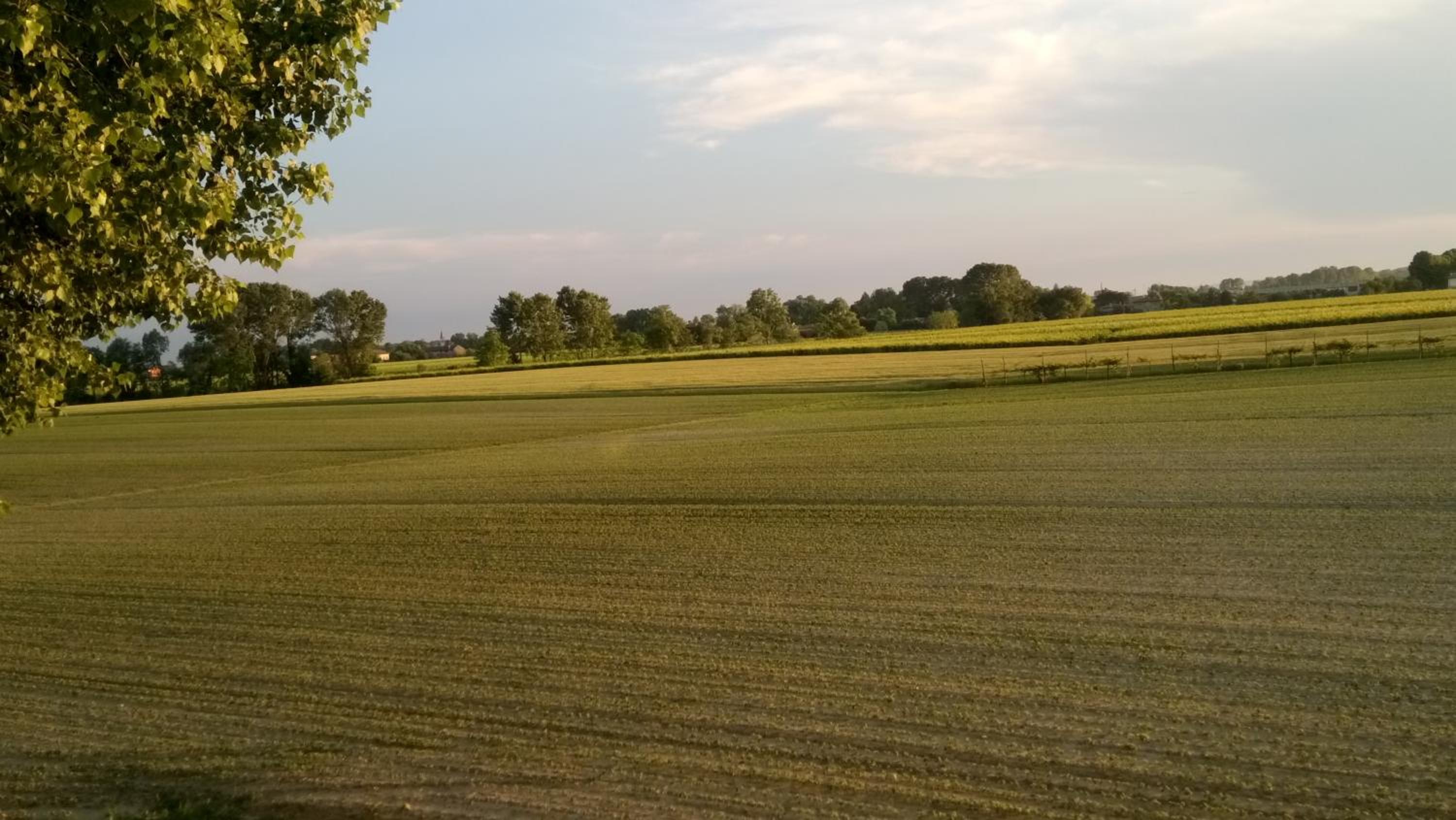 La Pioppa Agriturismo