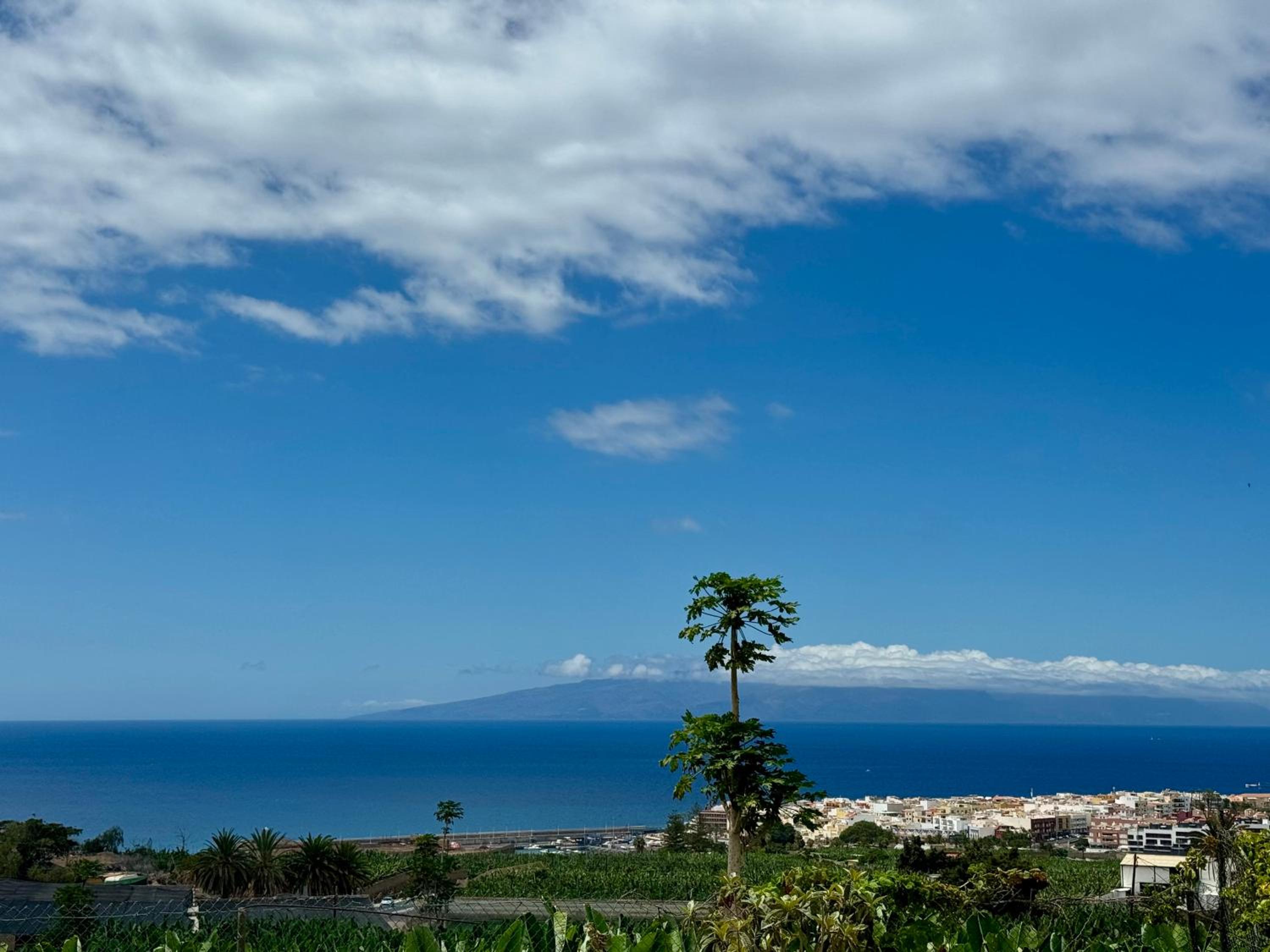 Playa San Juan's Best-Kept Secret Finca with Pool