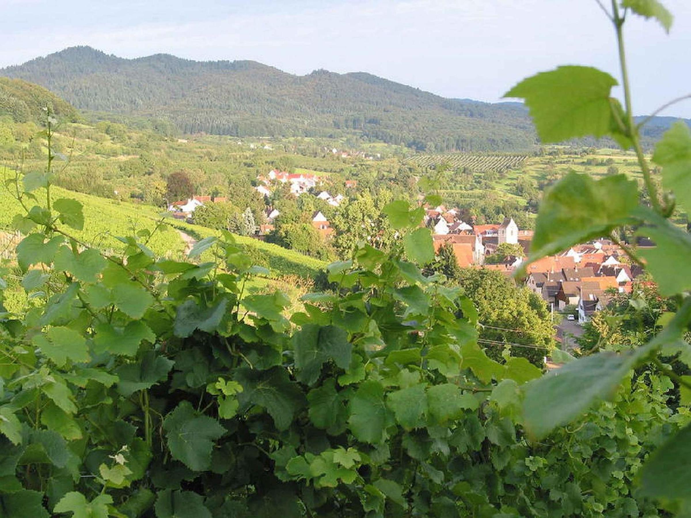 Ferienwohnung am Blumengässle