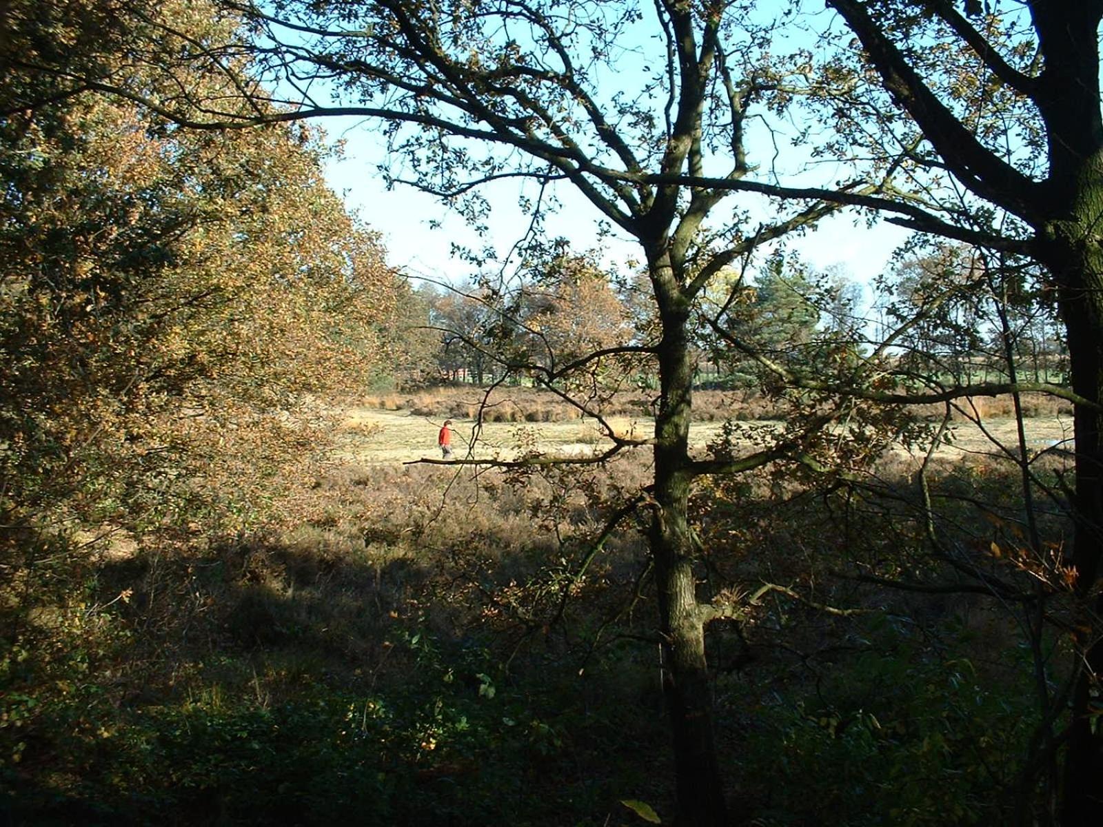 Photo 100