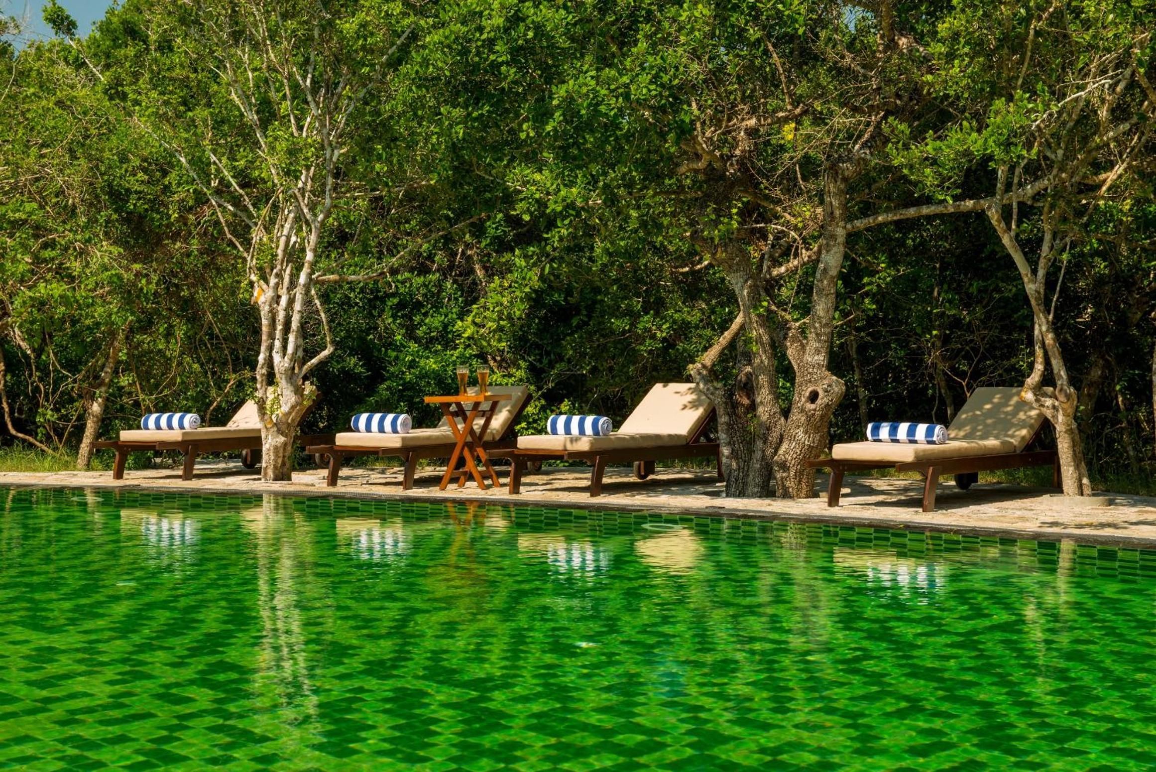 Uga Chena Huts - Yala - All Inclusive view 5