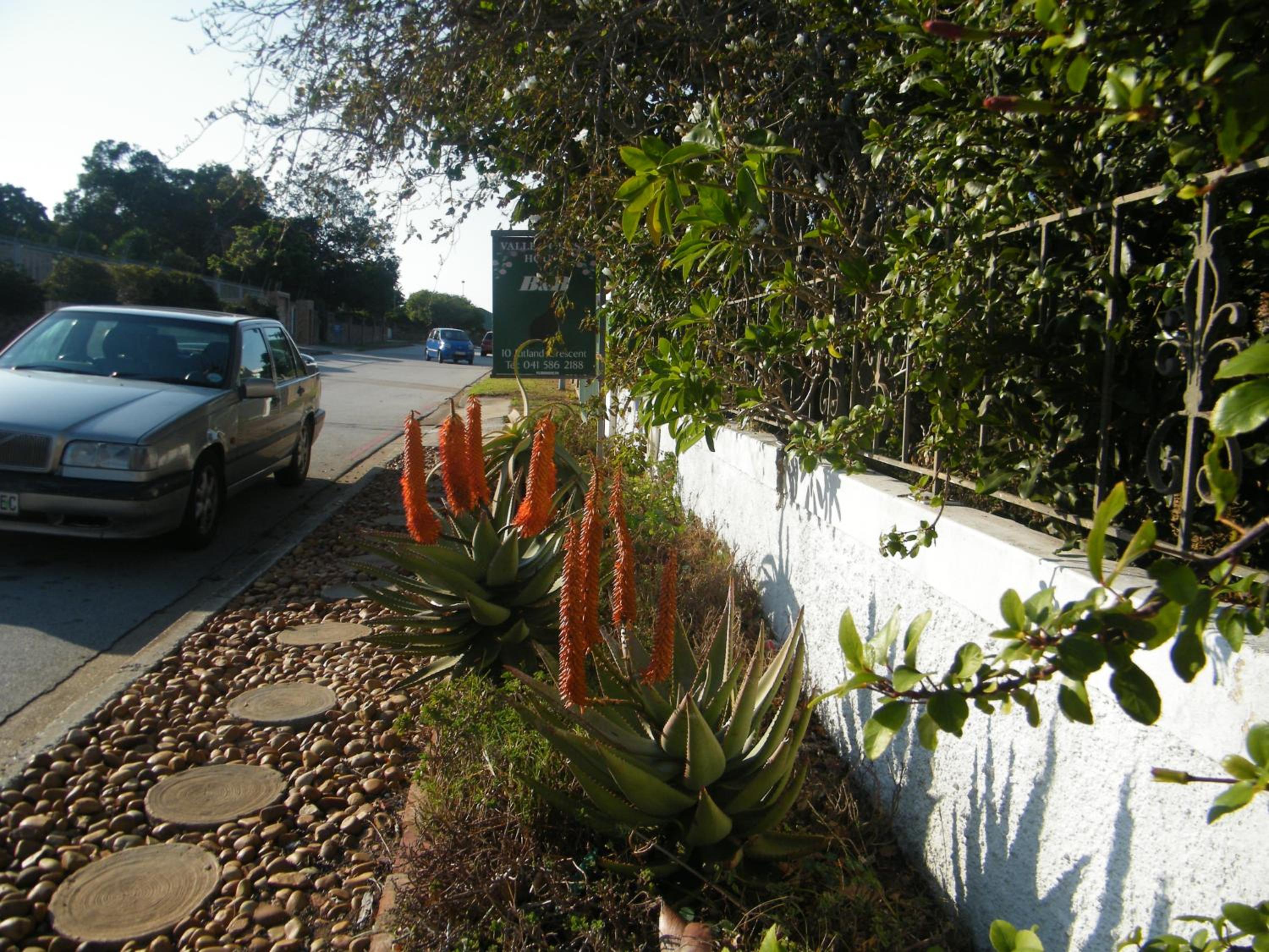 Valley Guest House