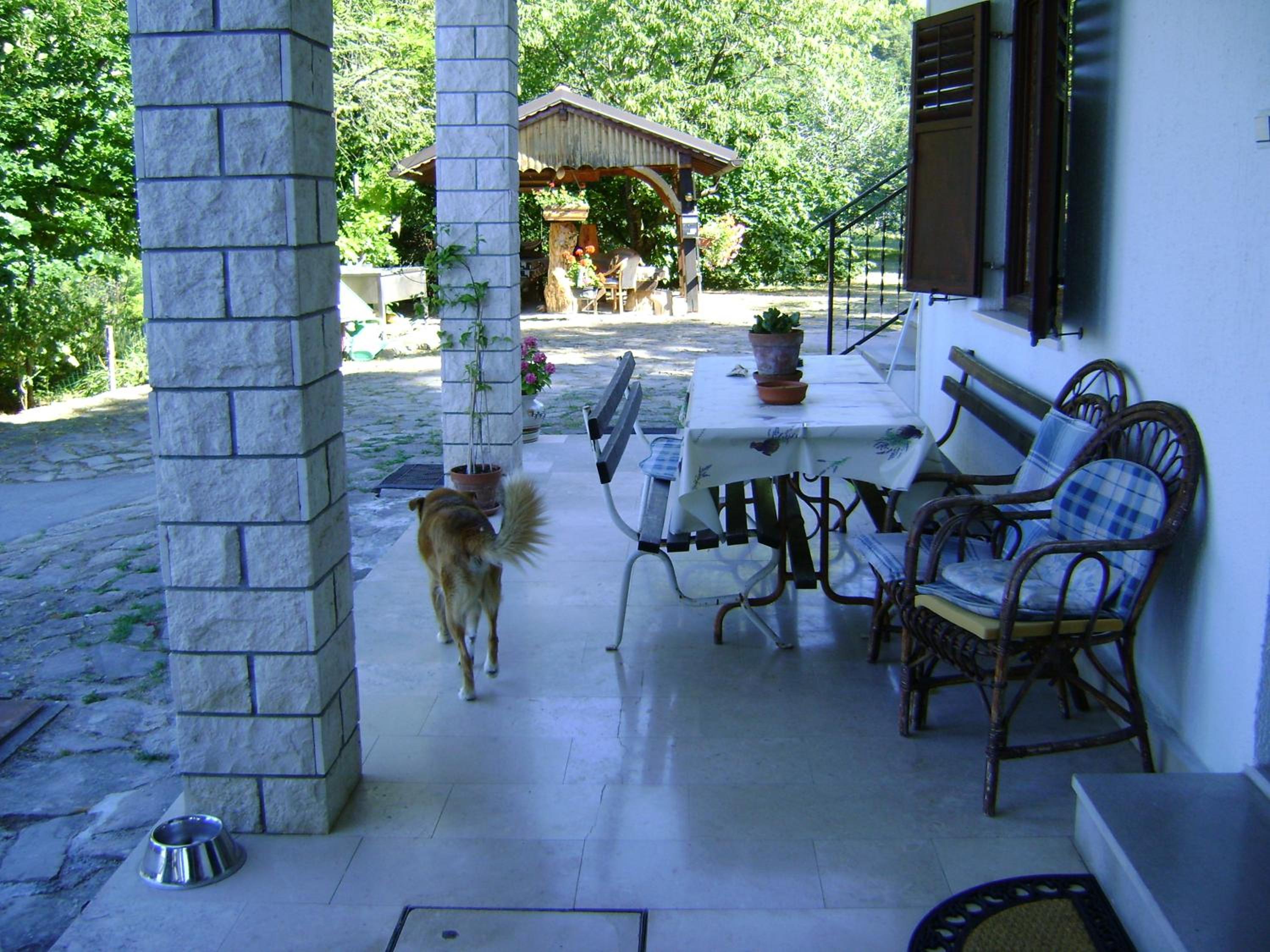 Photo 18