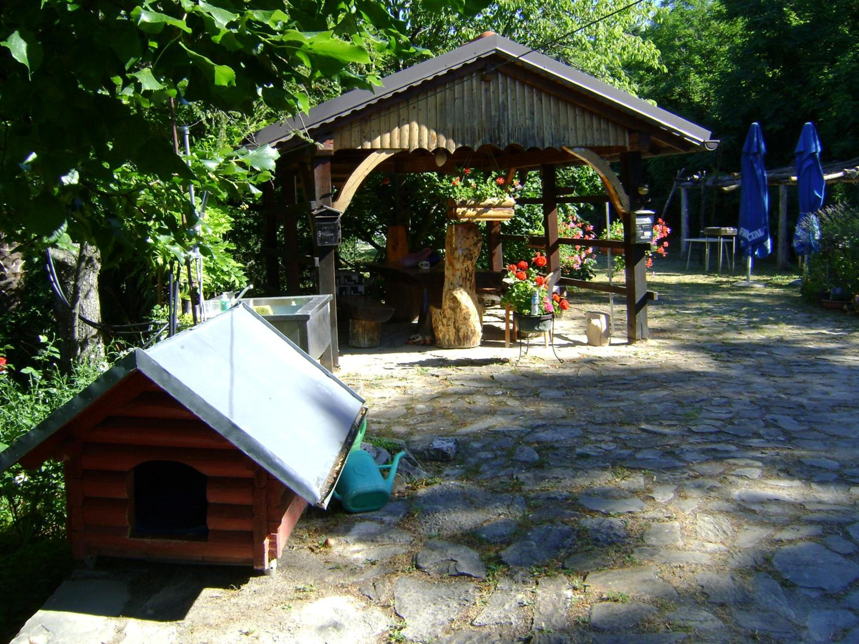 Photo 17