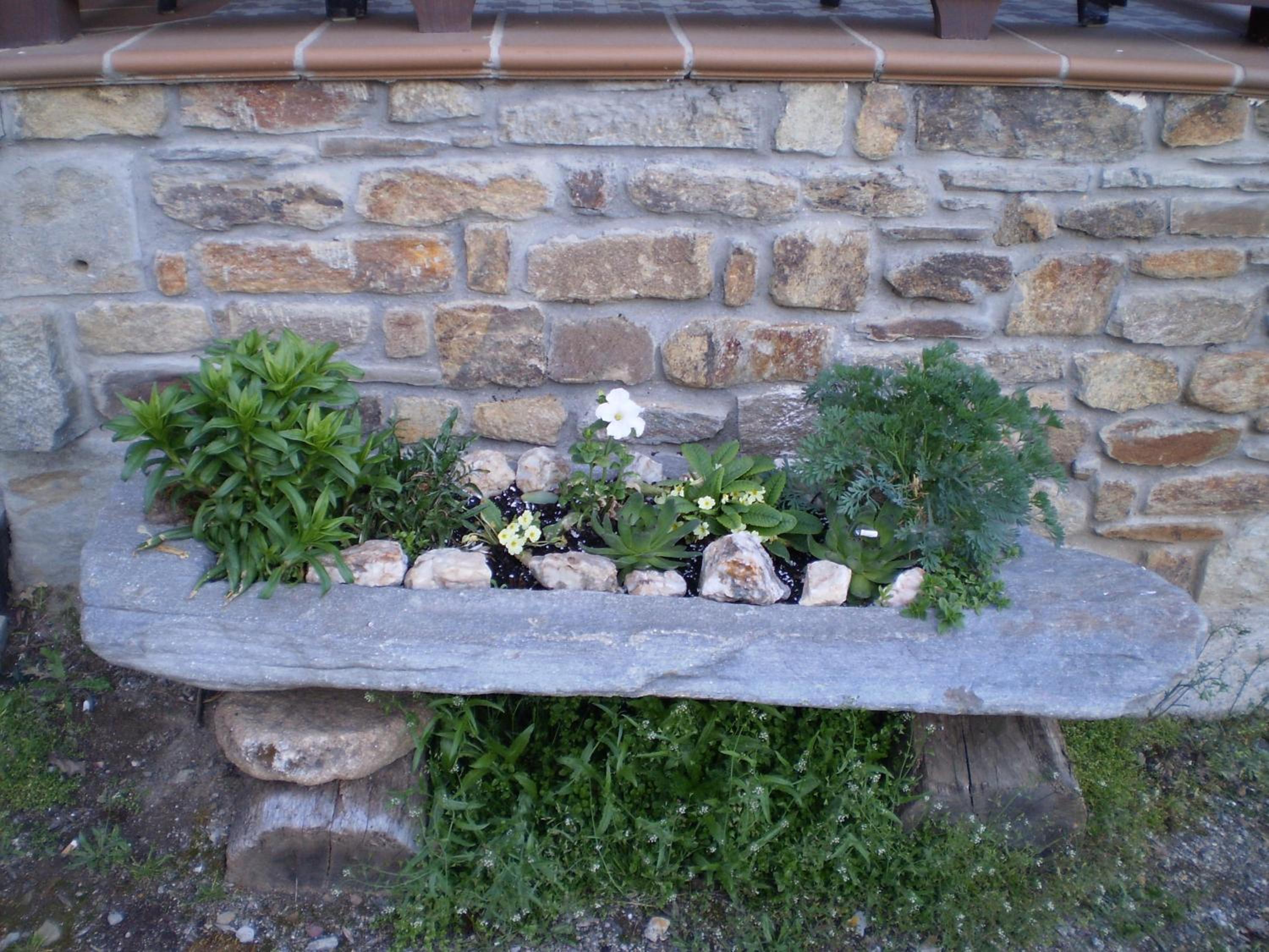 Photo 24