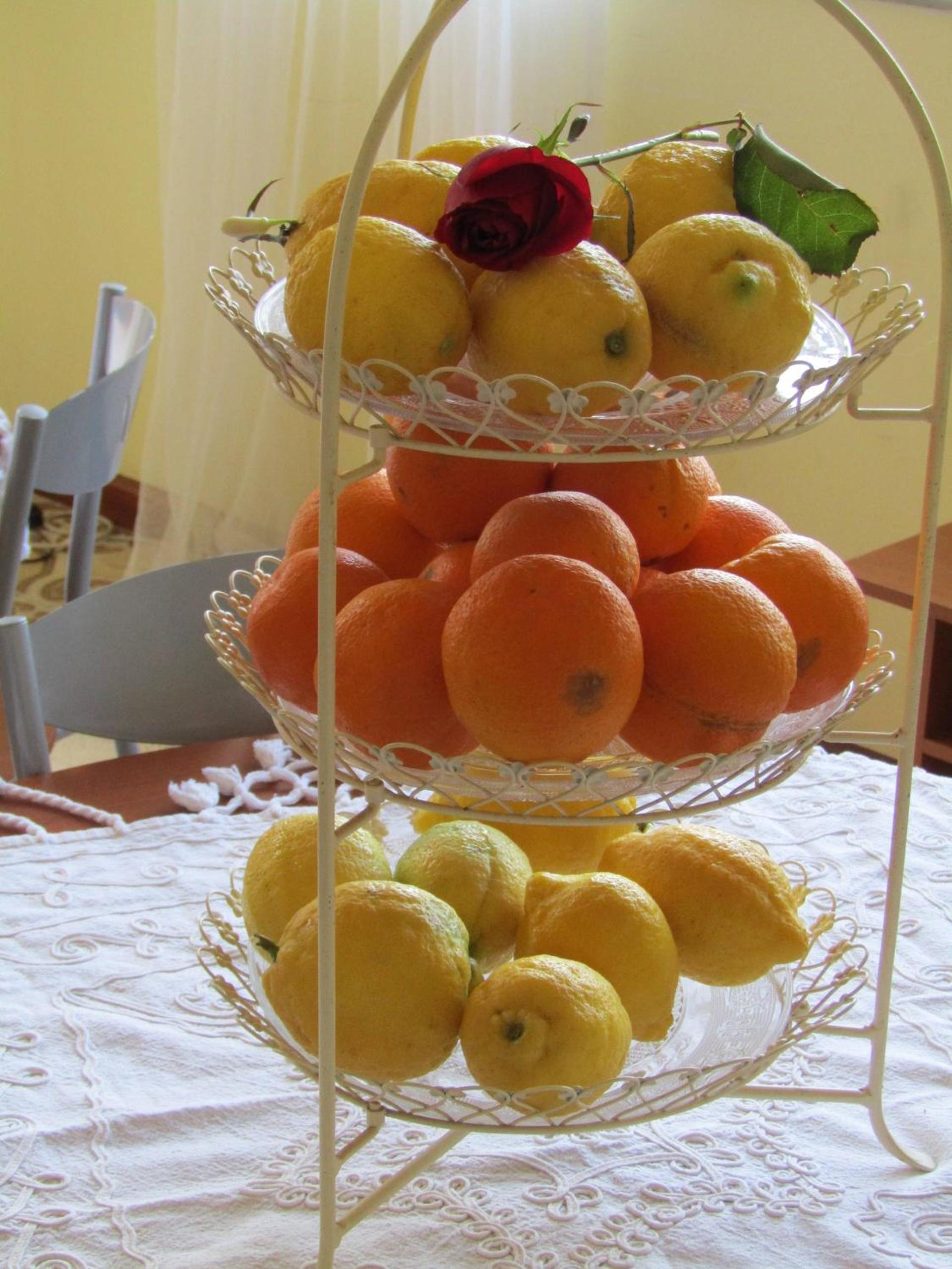 Photo 44