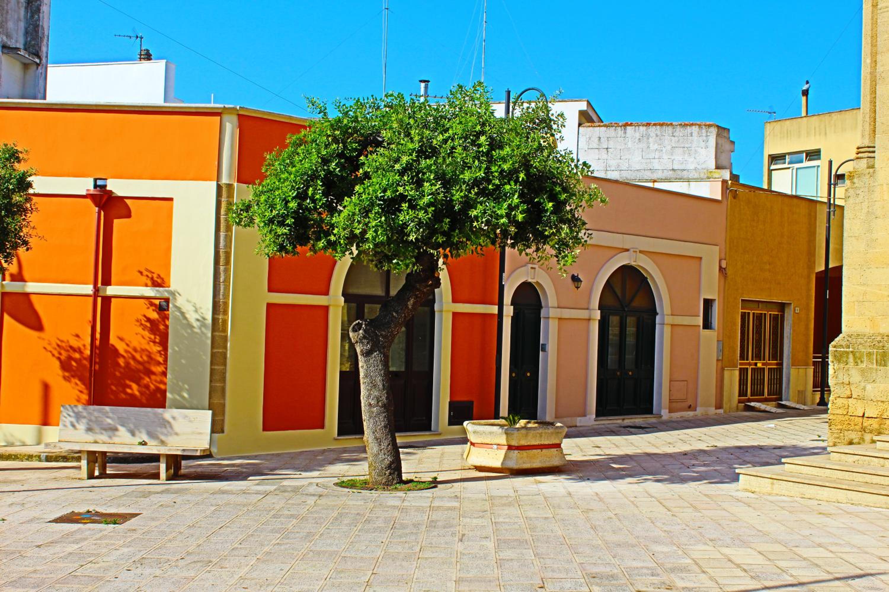 Photo 13