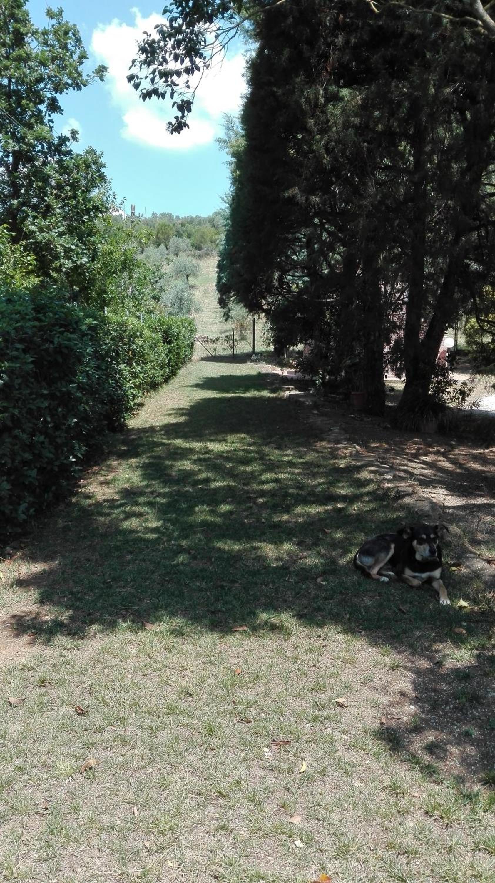 Photo 18