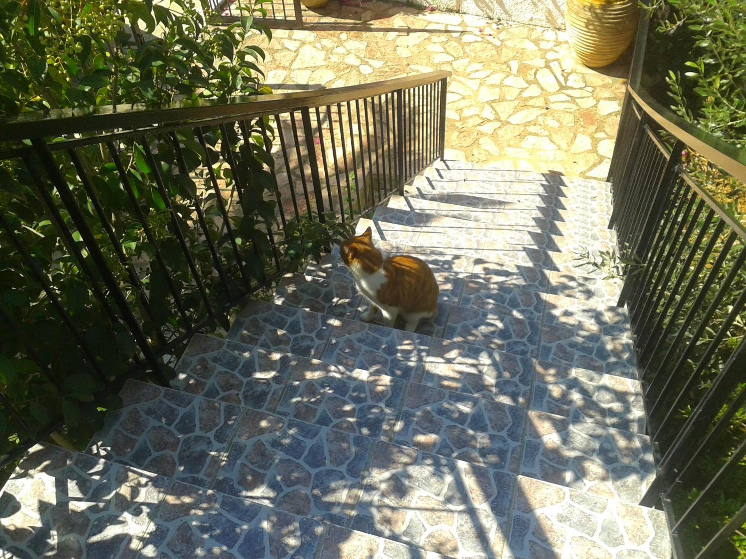 Photo 113