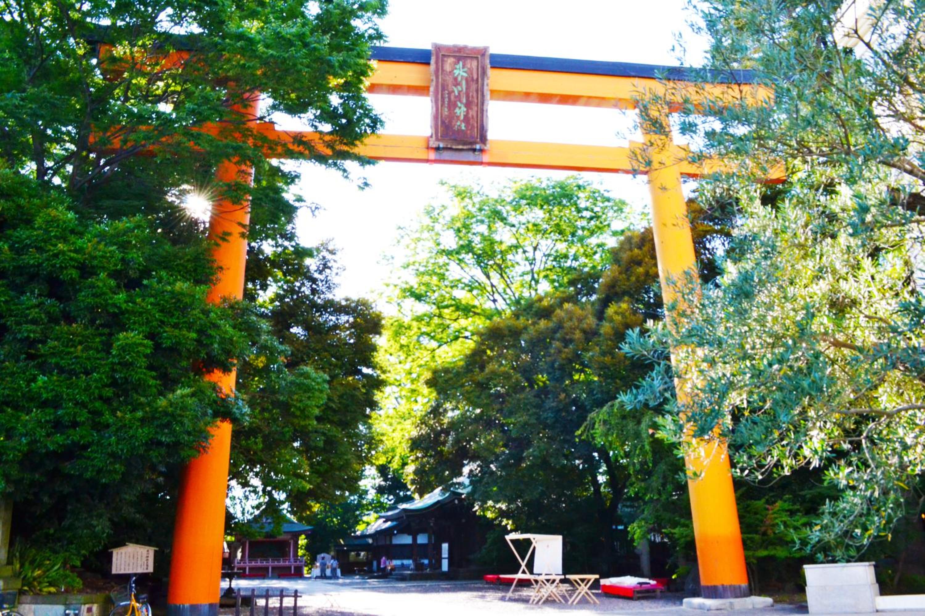 Ryokan Matsumuraya
