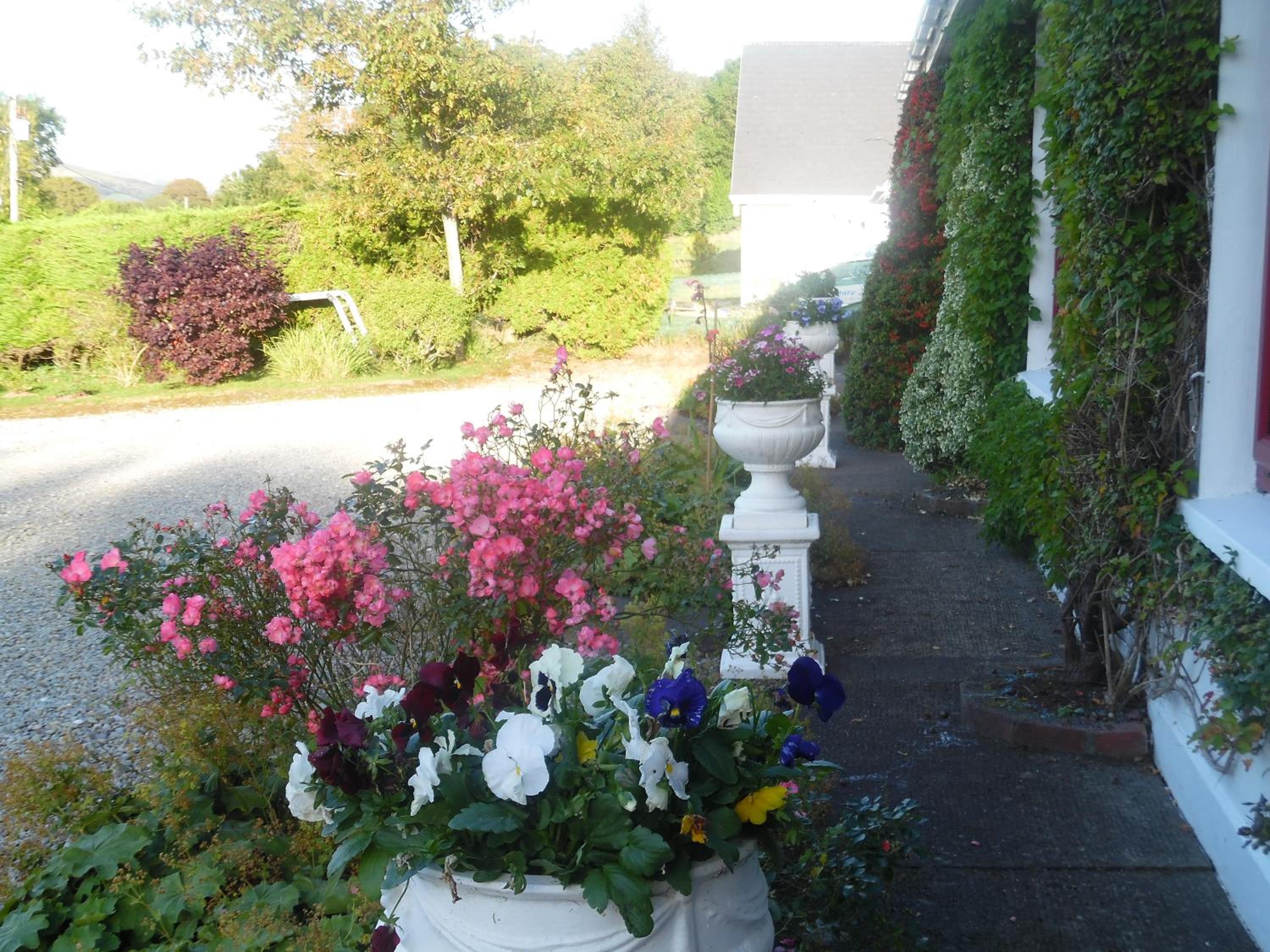 Photo 47