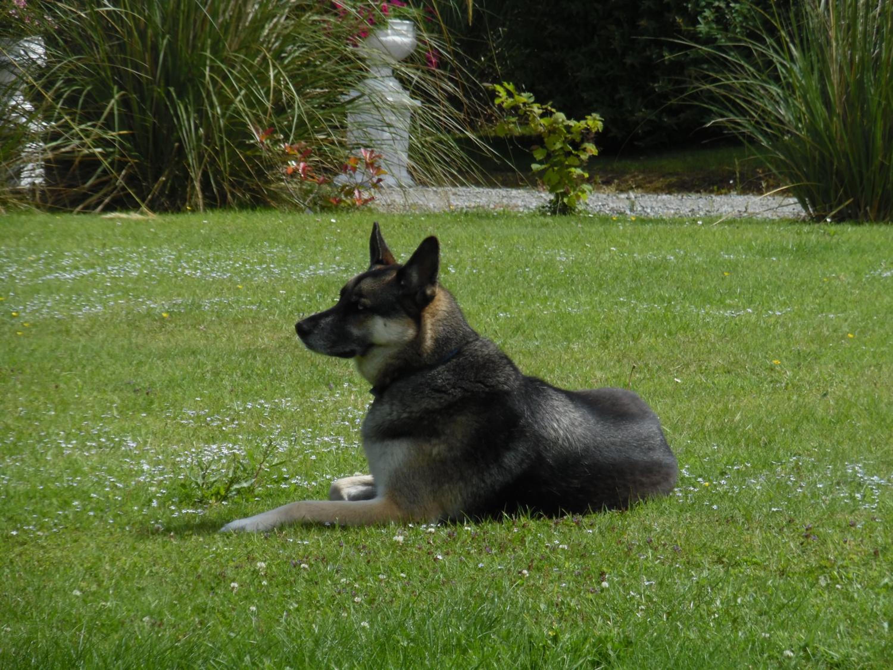 Photo 42