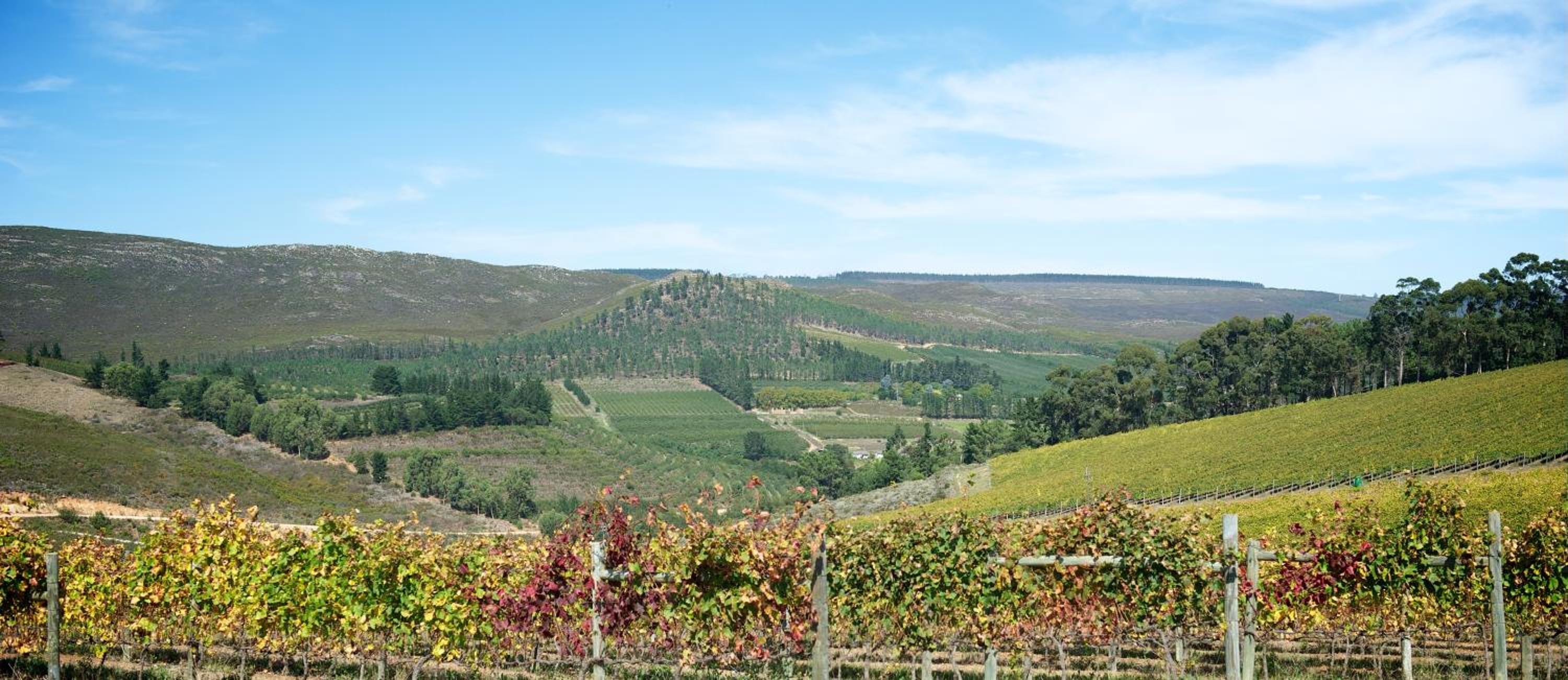 South Hill