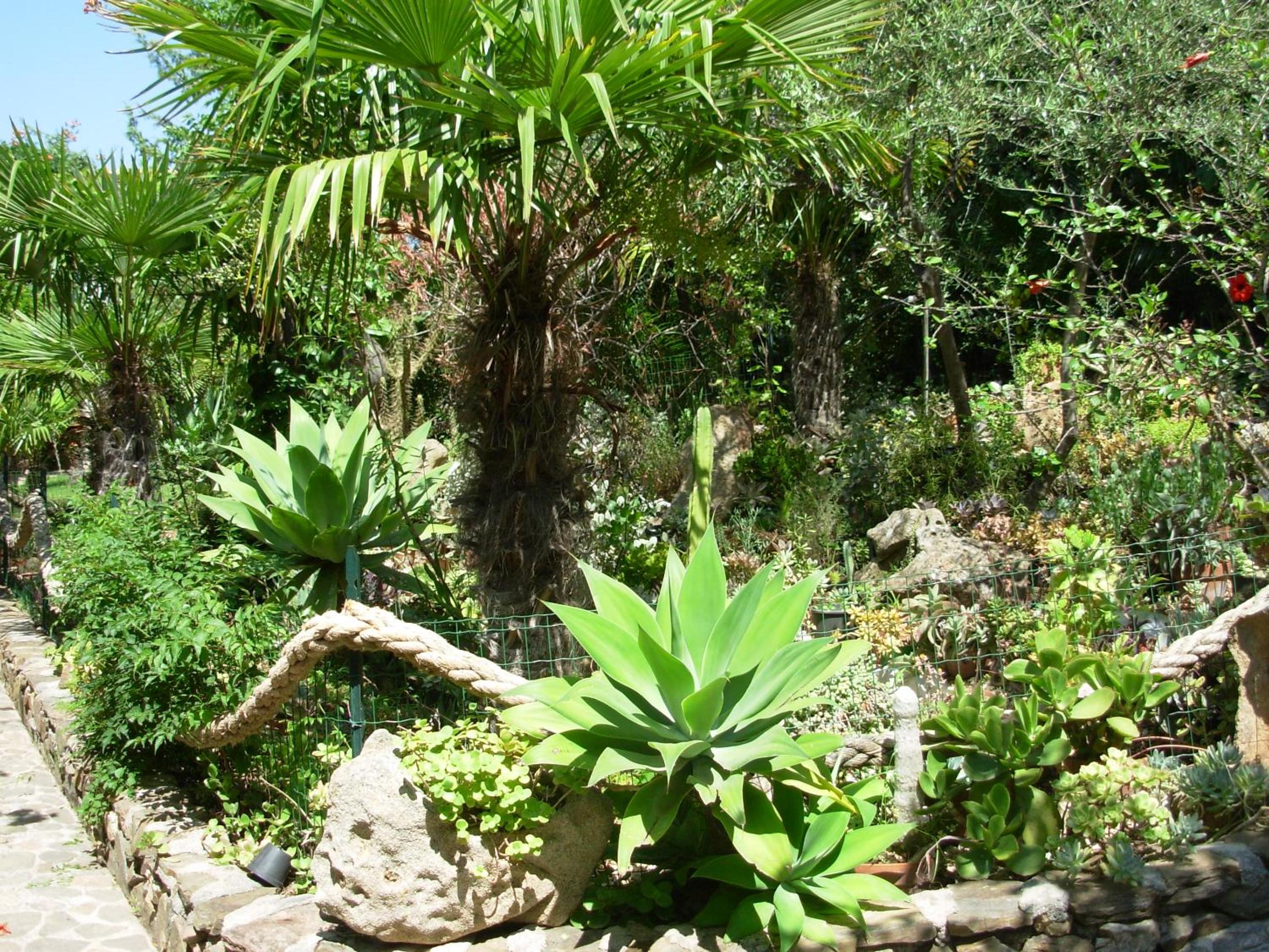 Photo 25