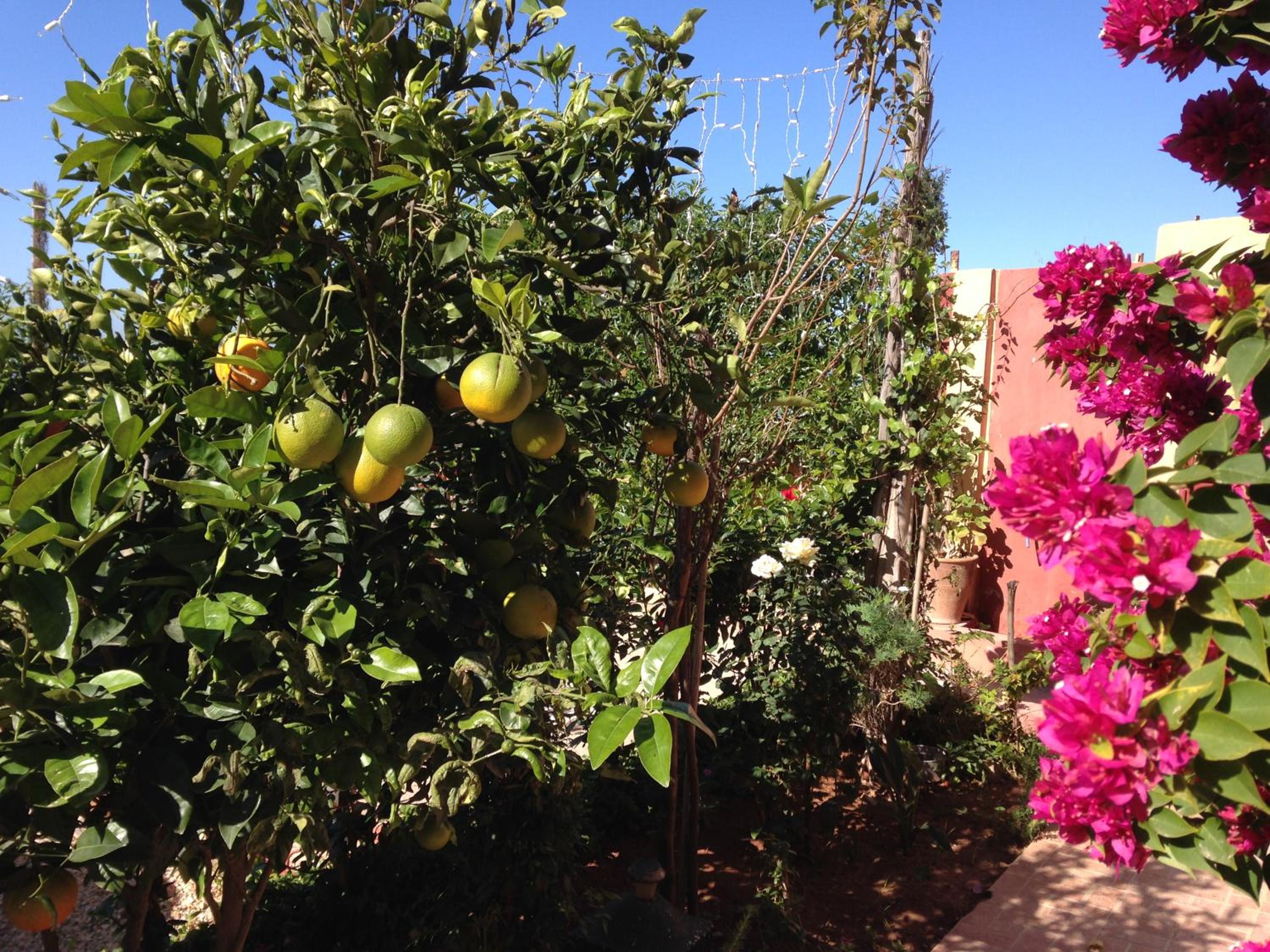 Photo 46