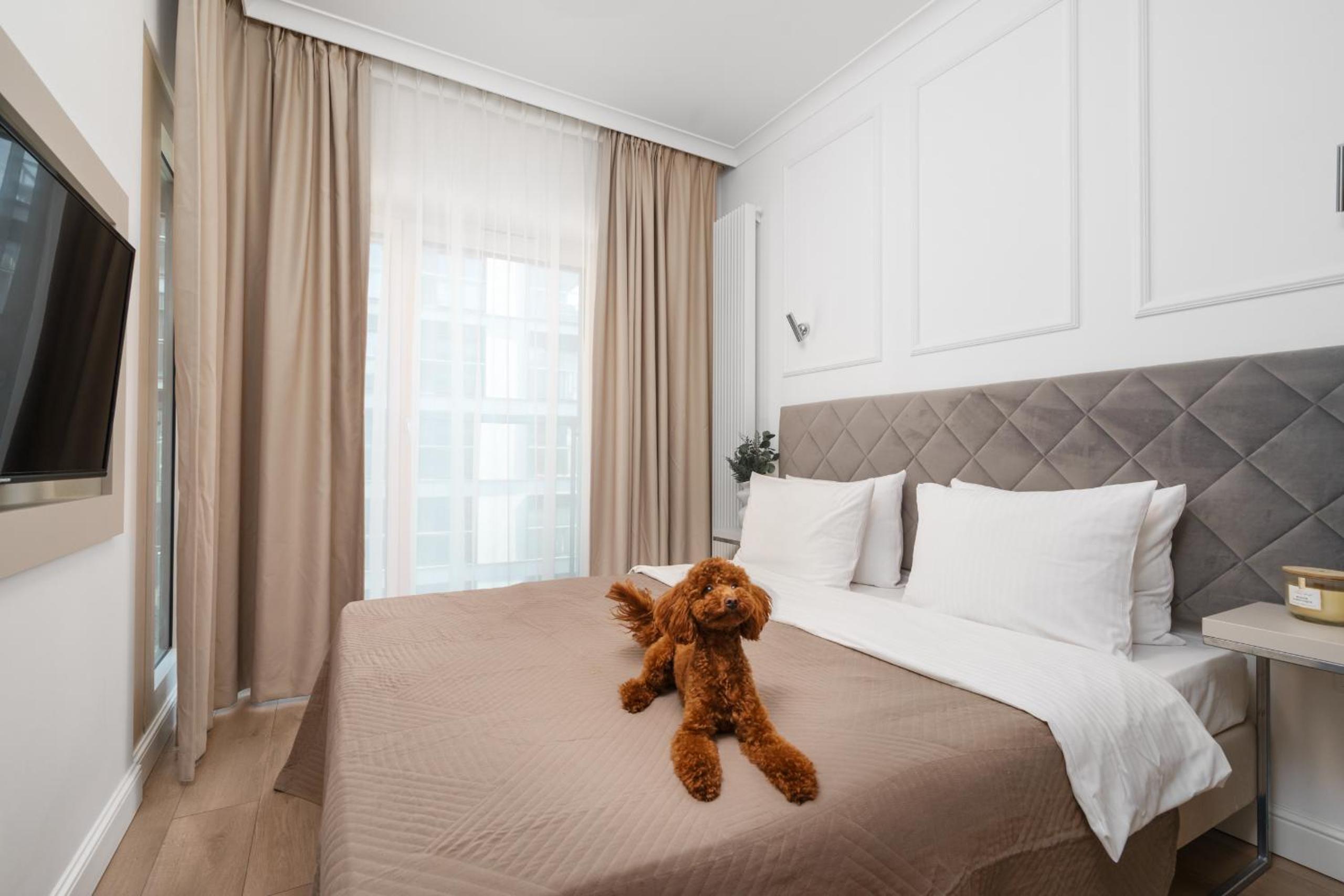 Golden Heart Residence - Mennica Residence - Warsaw Center