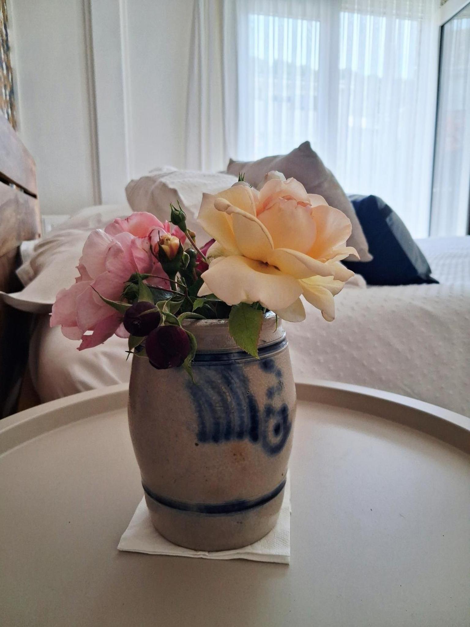 Mésanges bleu Suite DeLuxe