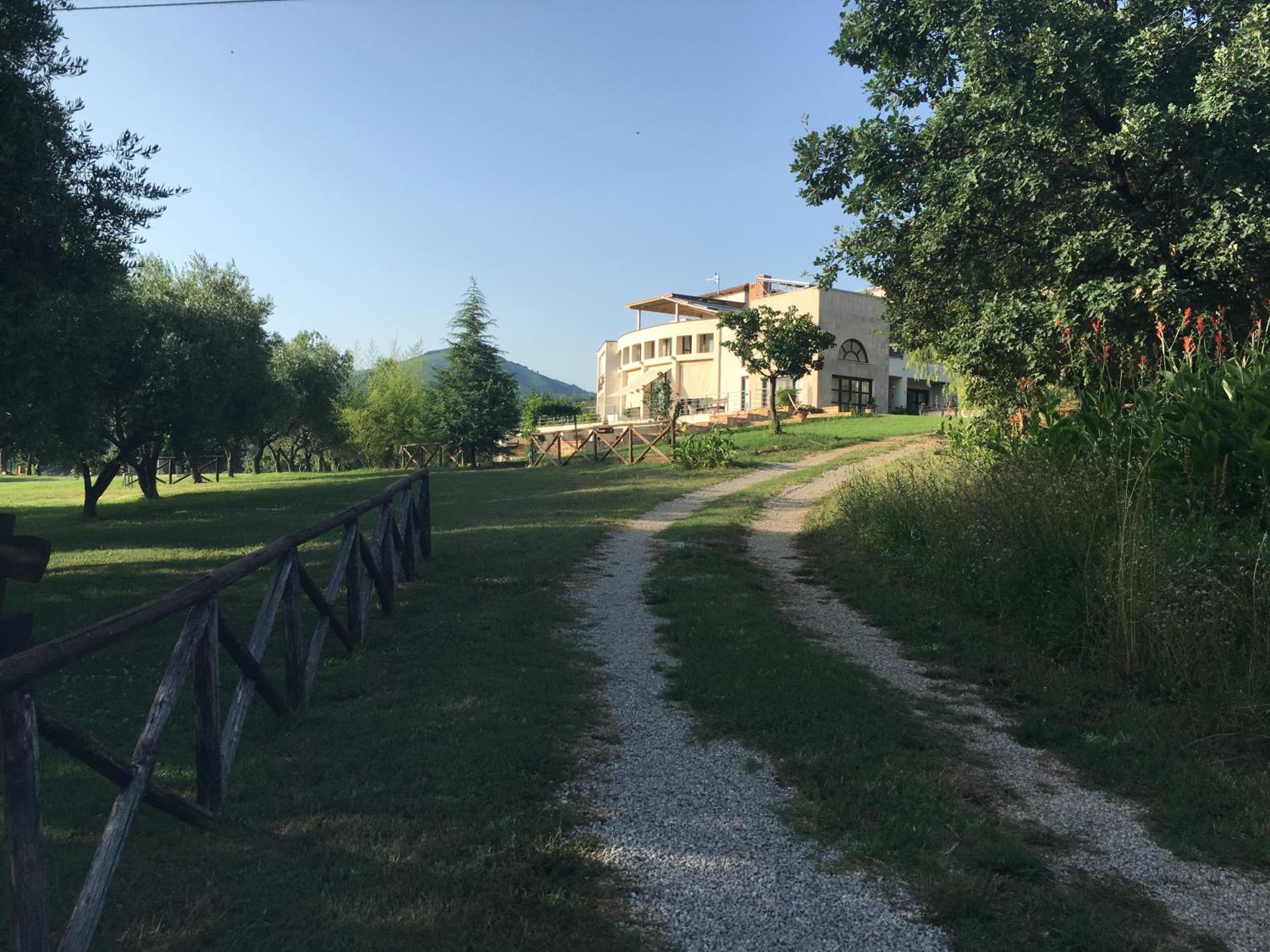 Corbezzolo