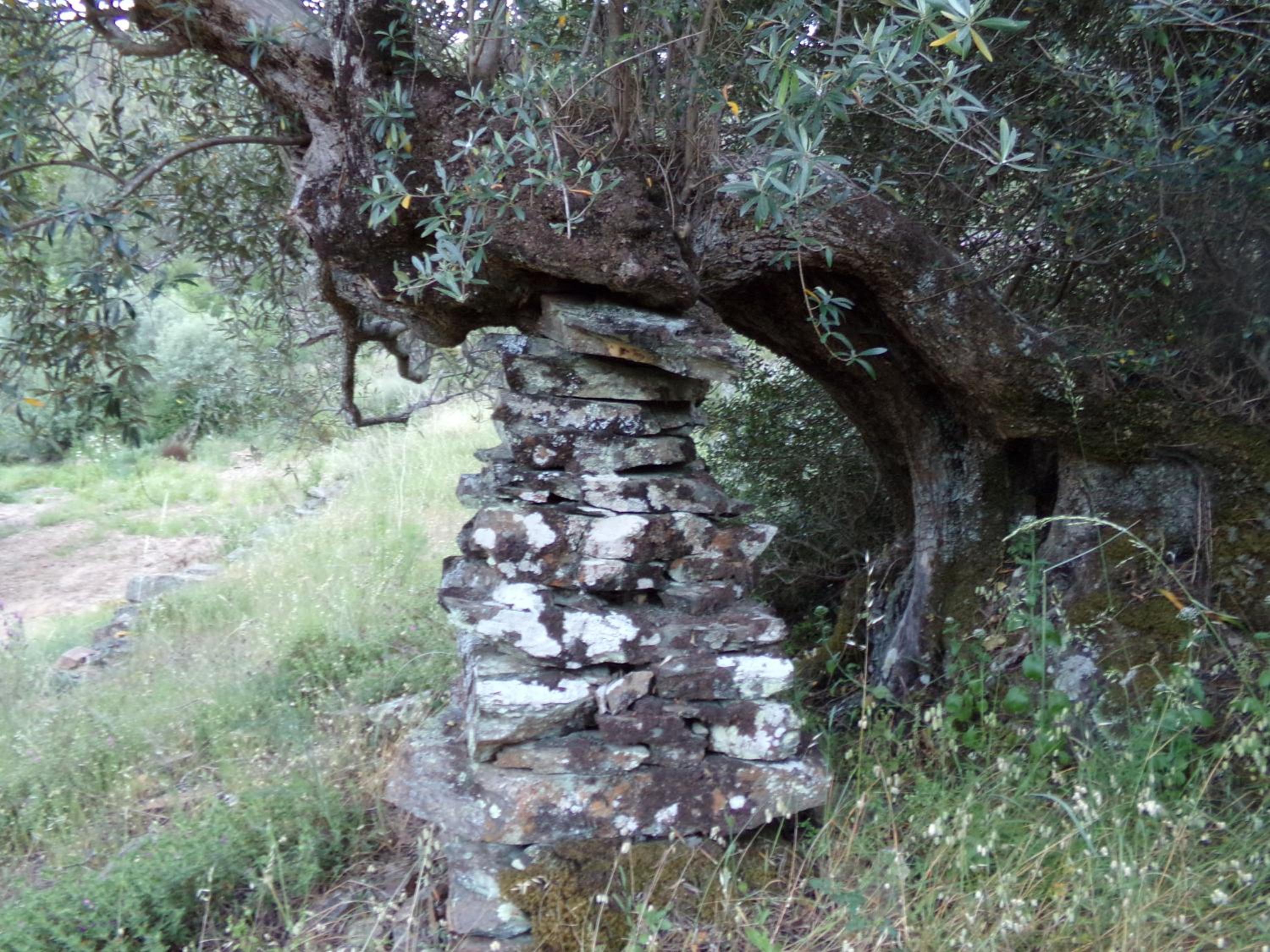 Casas dos Carregais