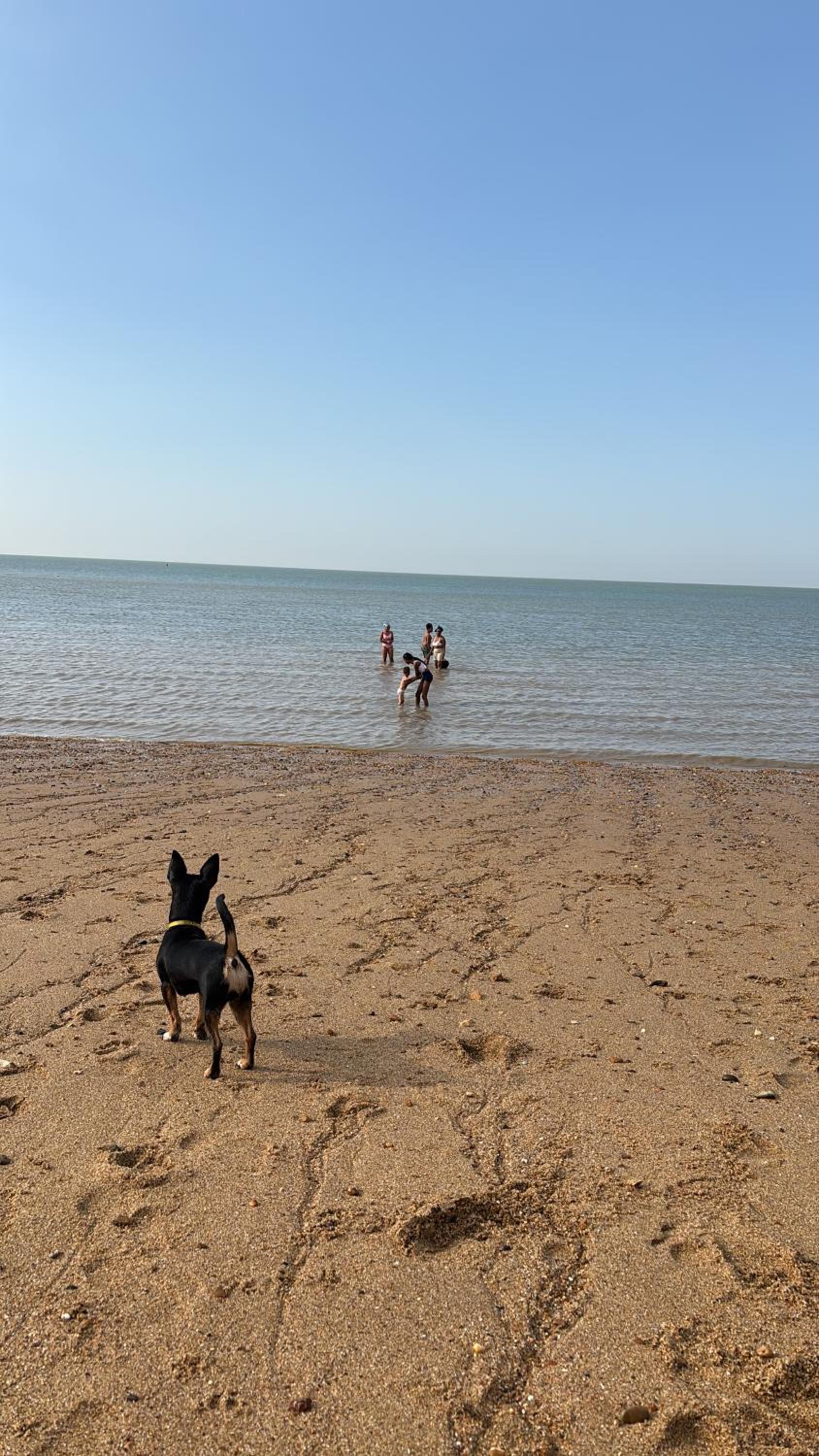 Singh Leite Holiday Home 8