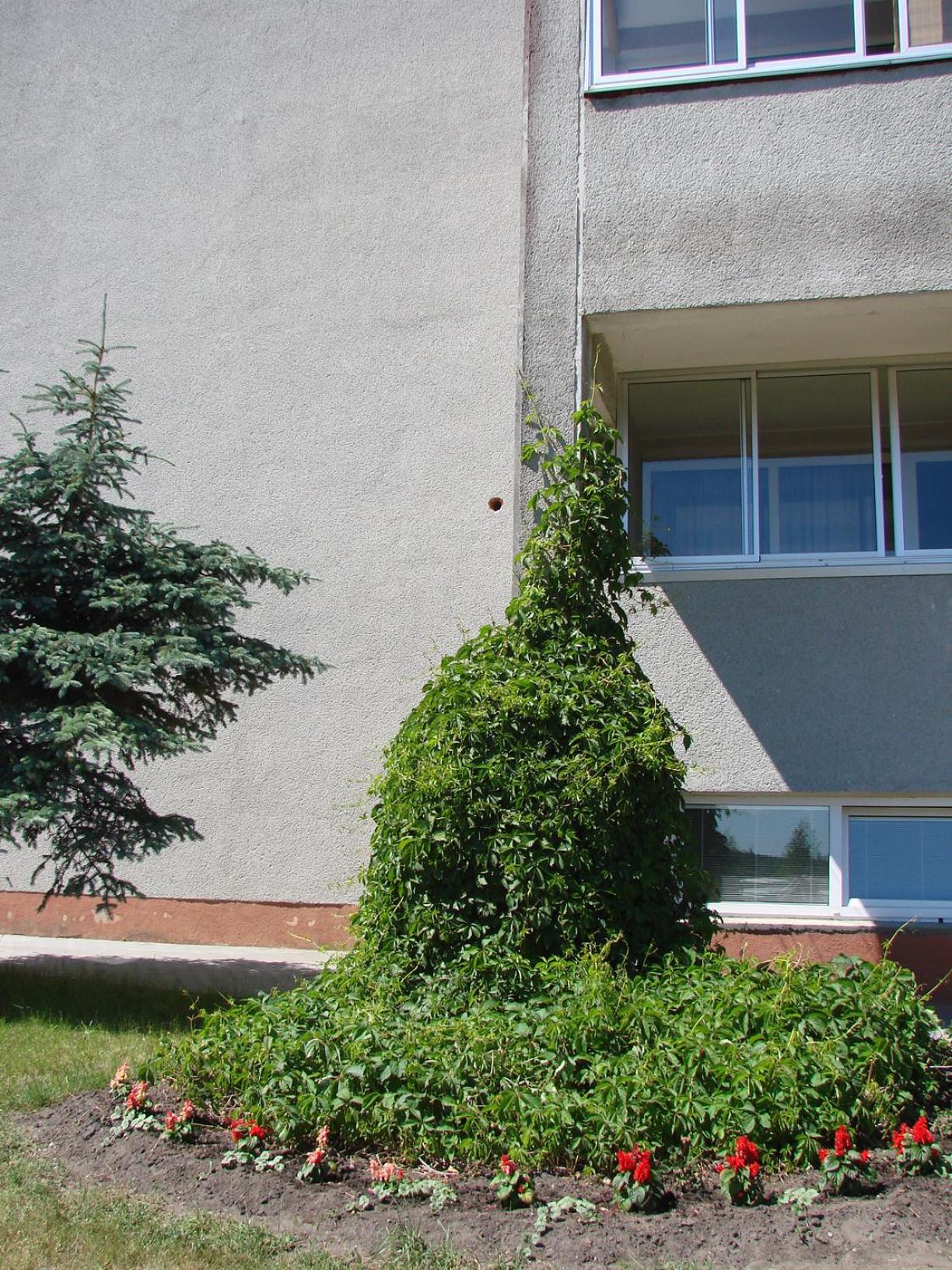 Photo 31