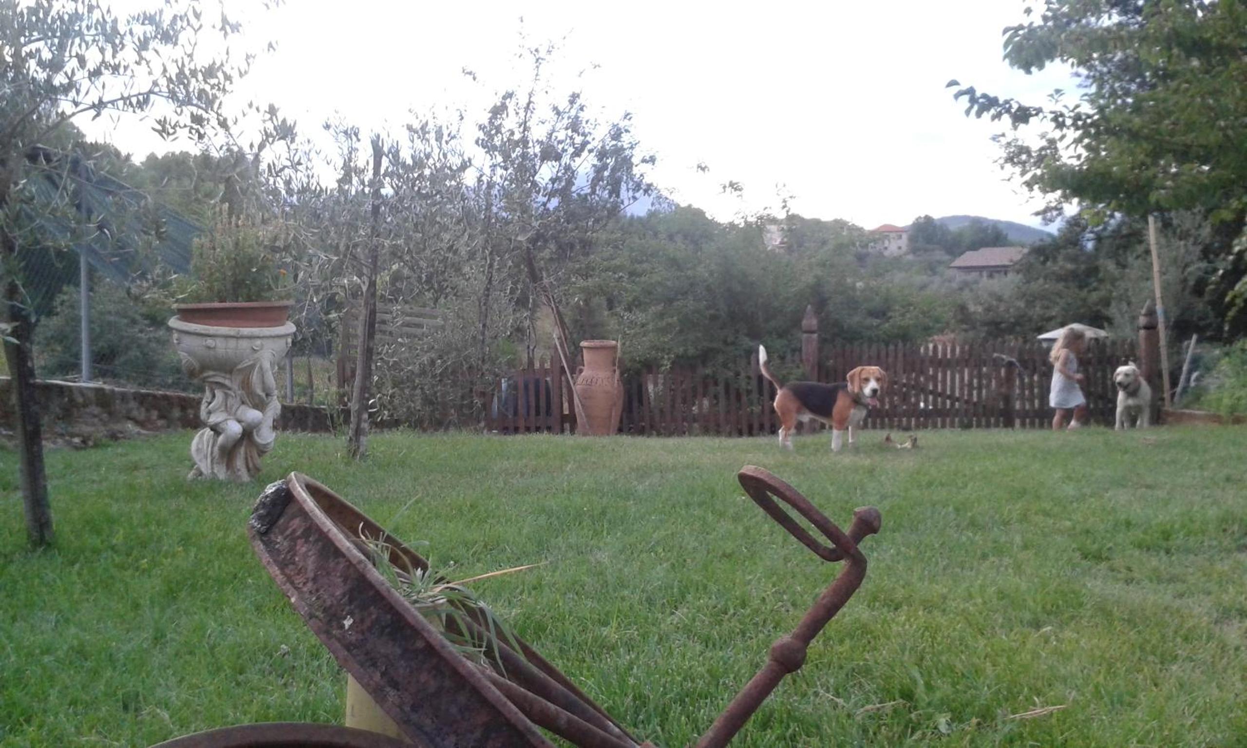 Photo 22